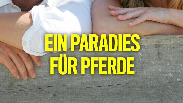 Ein Paradies für Pferde