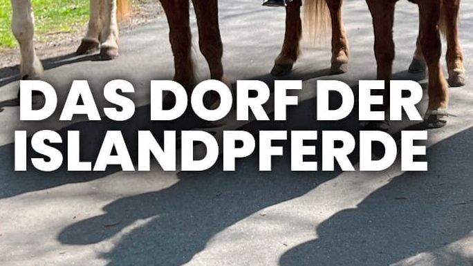 Das Dorf der Islandpferde