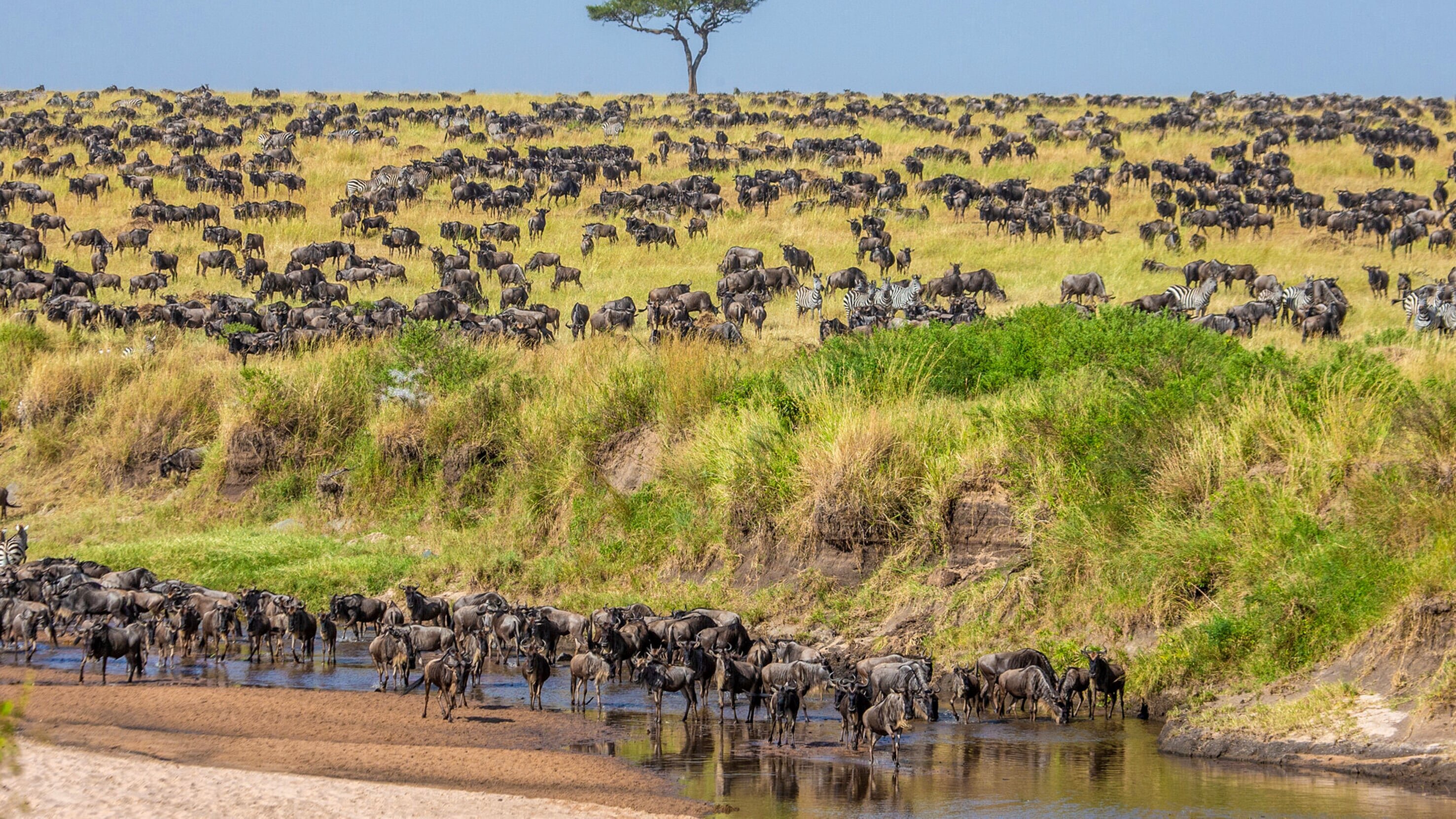 Wasserlöcher – Oasen für Afrikas Fauna