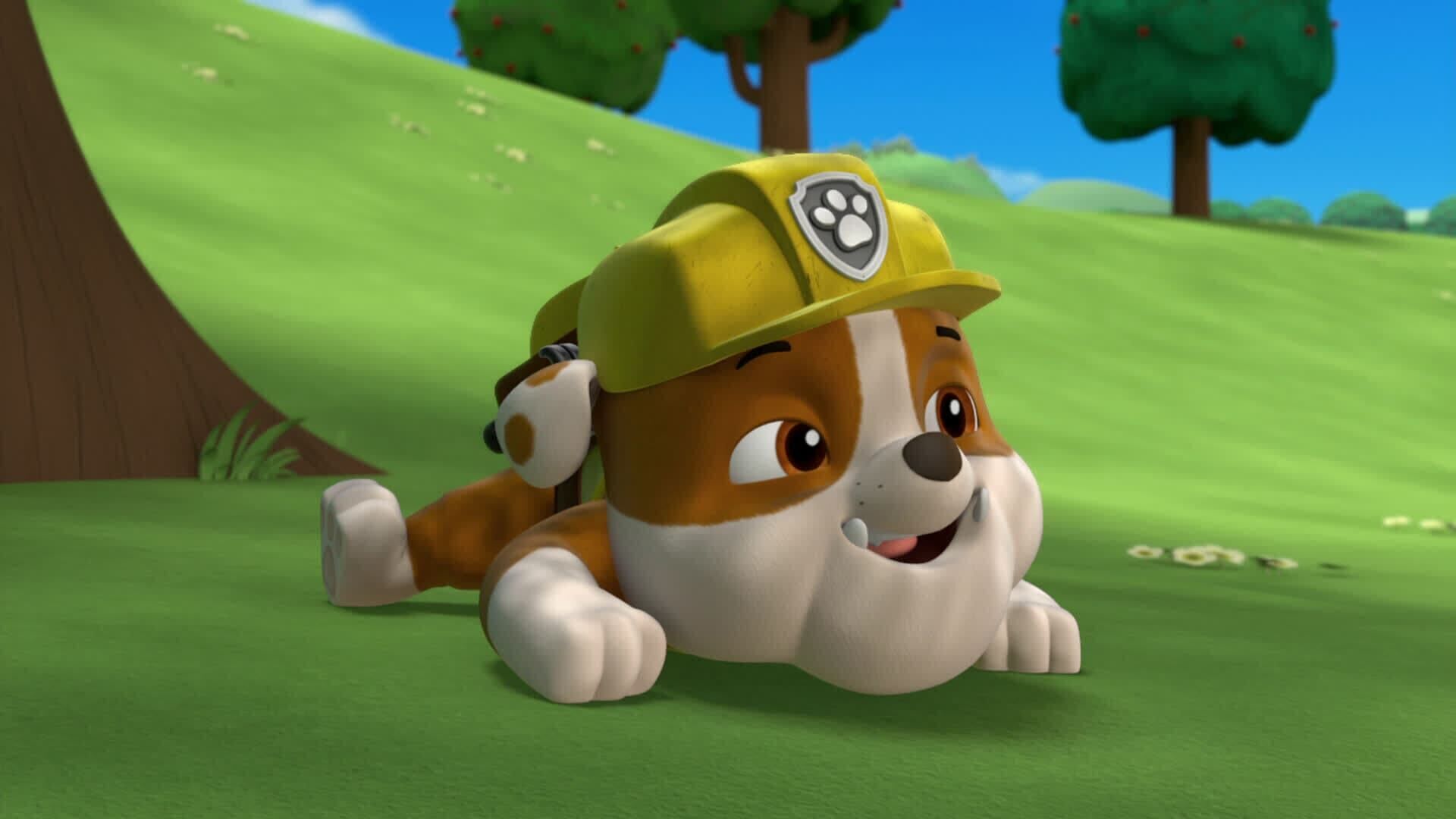 PAW Patrol – Helfer auf vier Pfoten