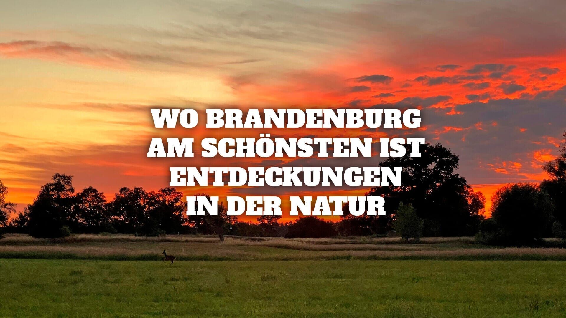 Wo Brandenburg am schönsten ist