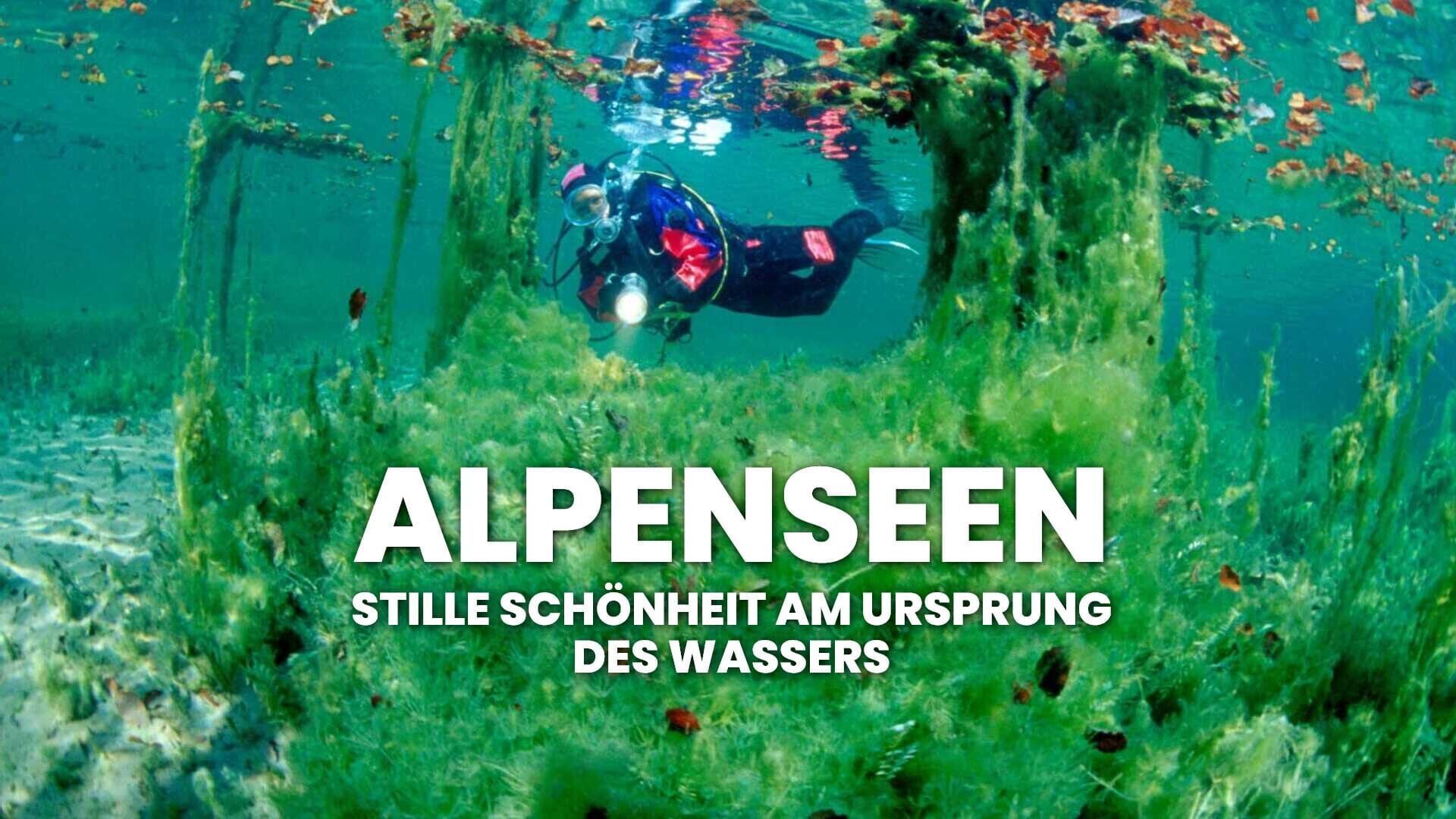 Alpenseen – Stille Schönheit am Ursprung des Wassers
