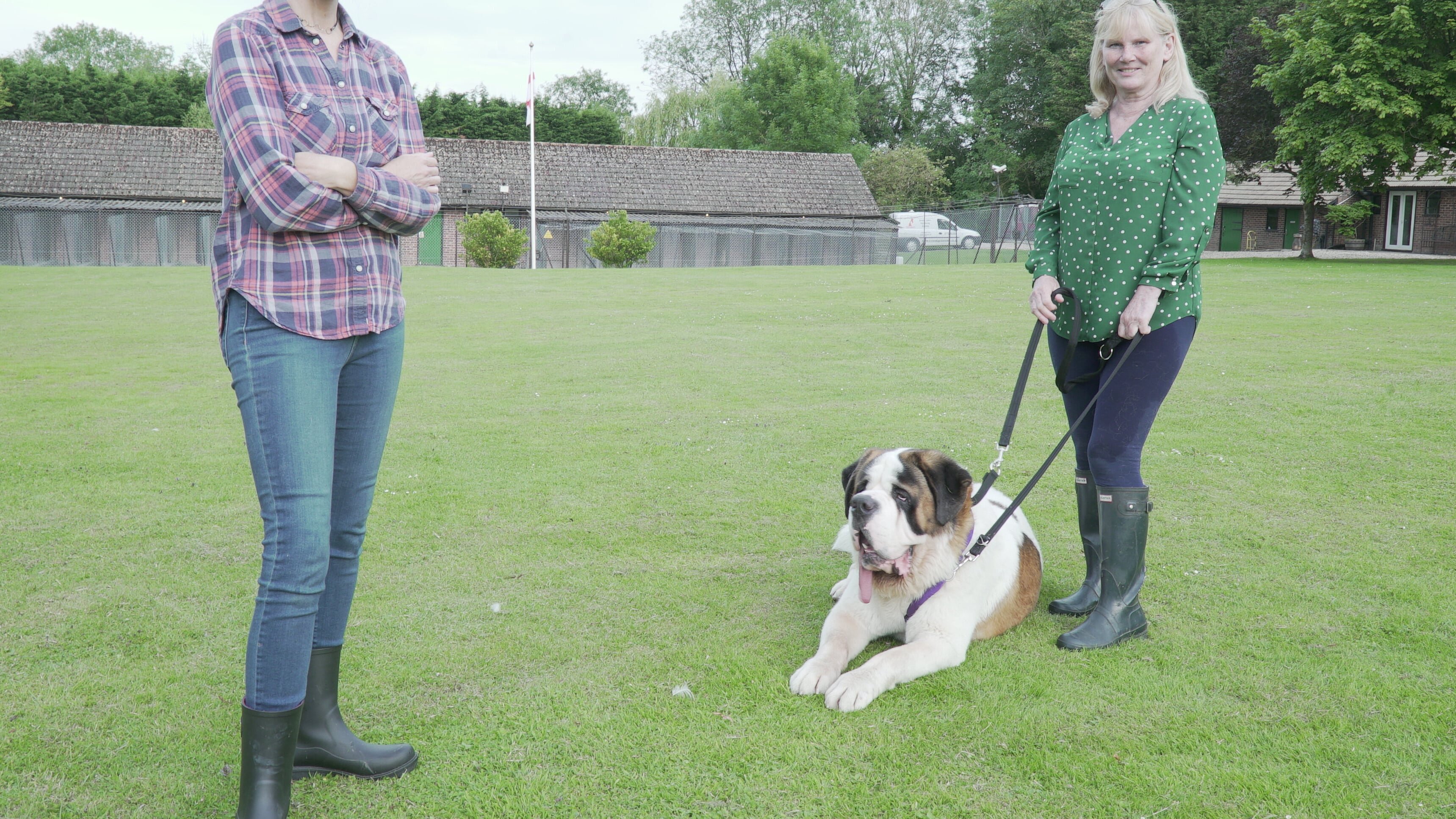 Die Super-Hunde-Nanny – Lehrerin für schwierige Felle