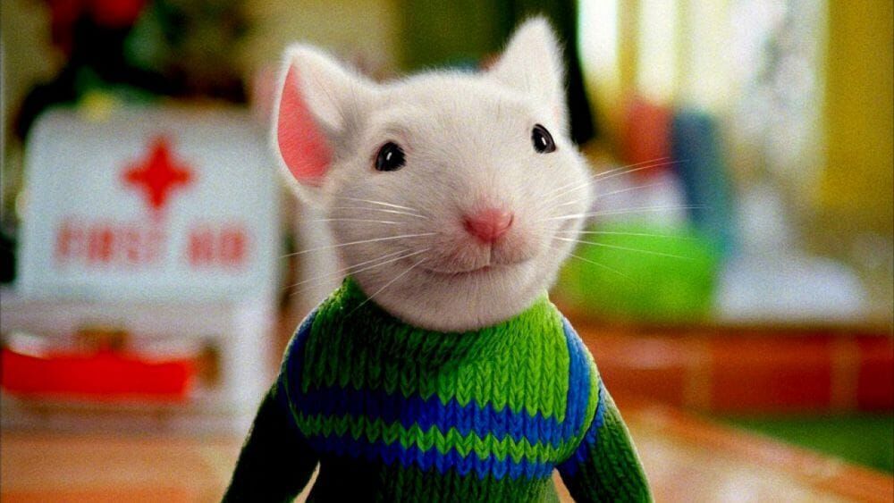 Stuart Little 2