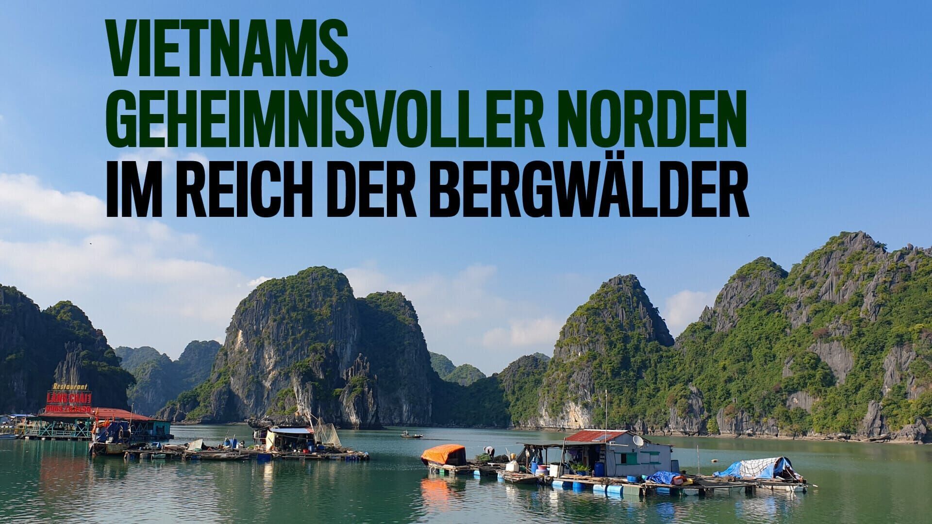 Wildes Vietnam – Die Bergwälder des Nordens