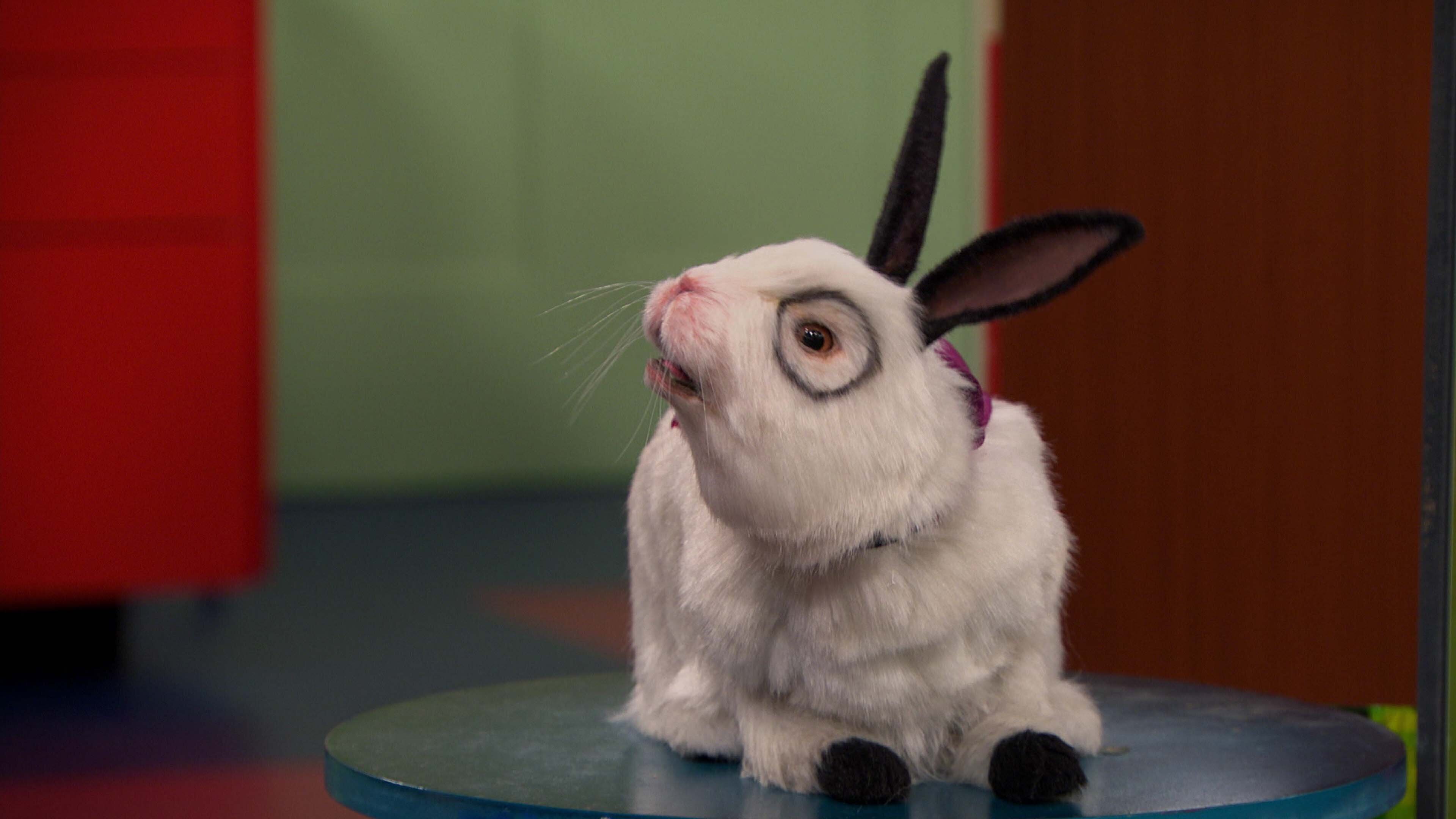 Die Thundermans