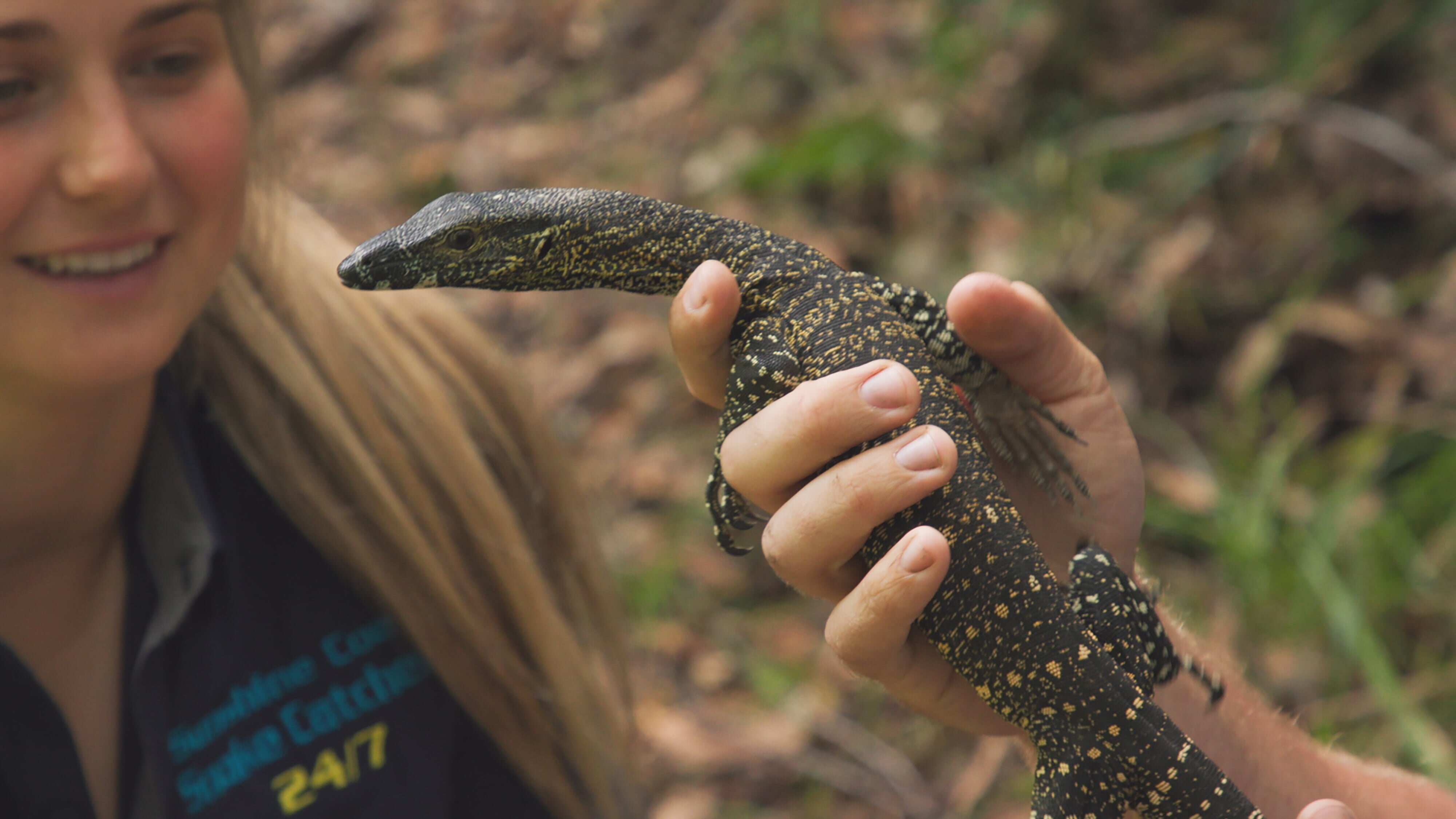 Snake Security – Schlangenalarm in Australien