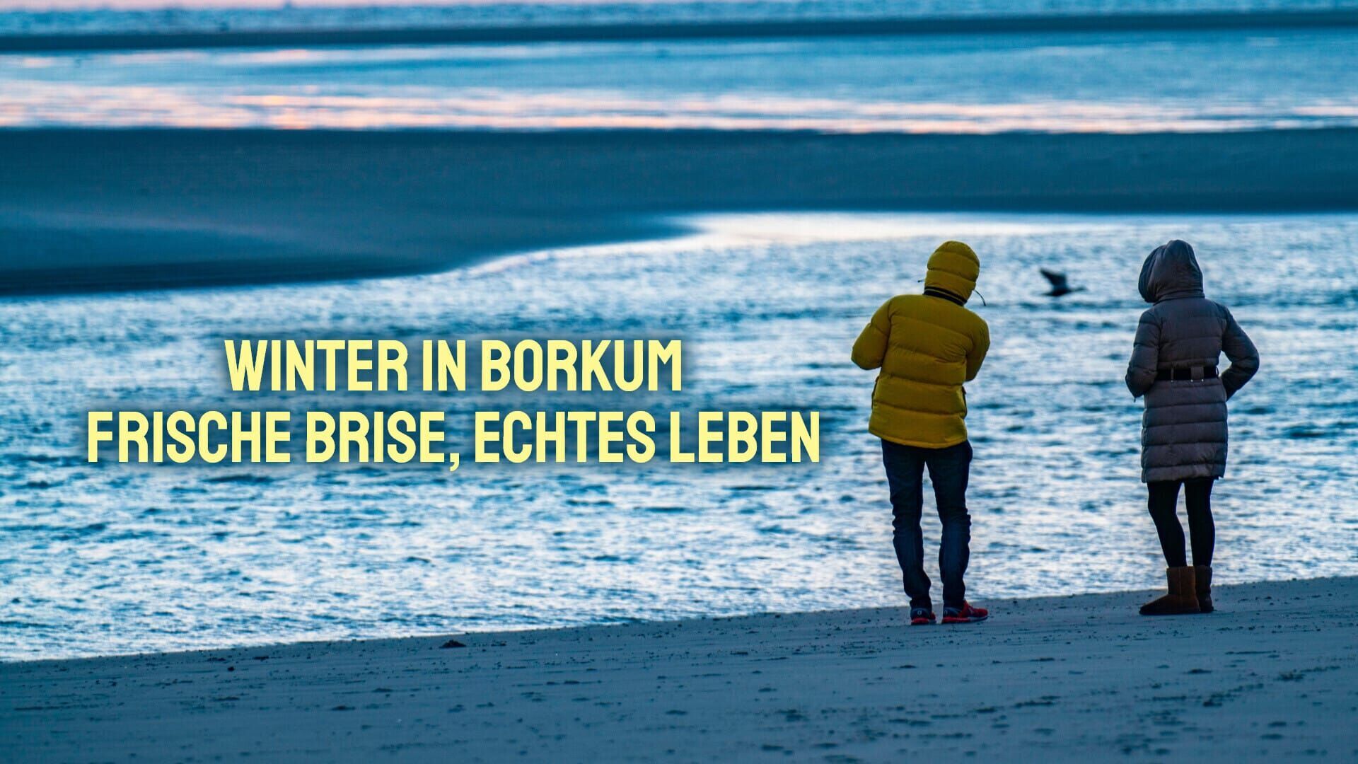 Winter in Borkum