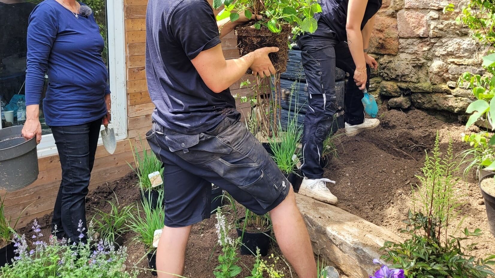 Duell der Gartenprofis – Mein grünes Paradies