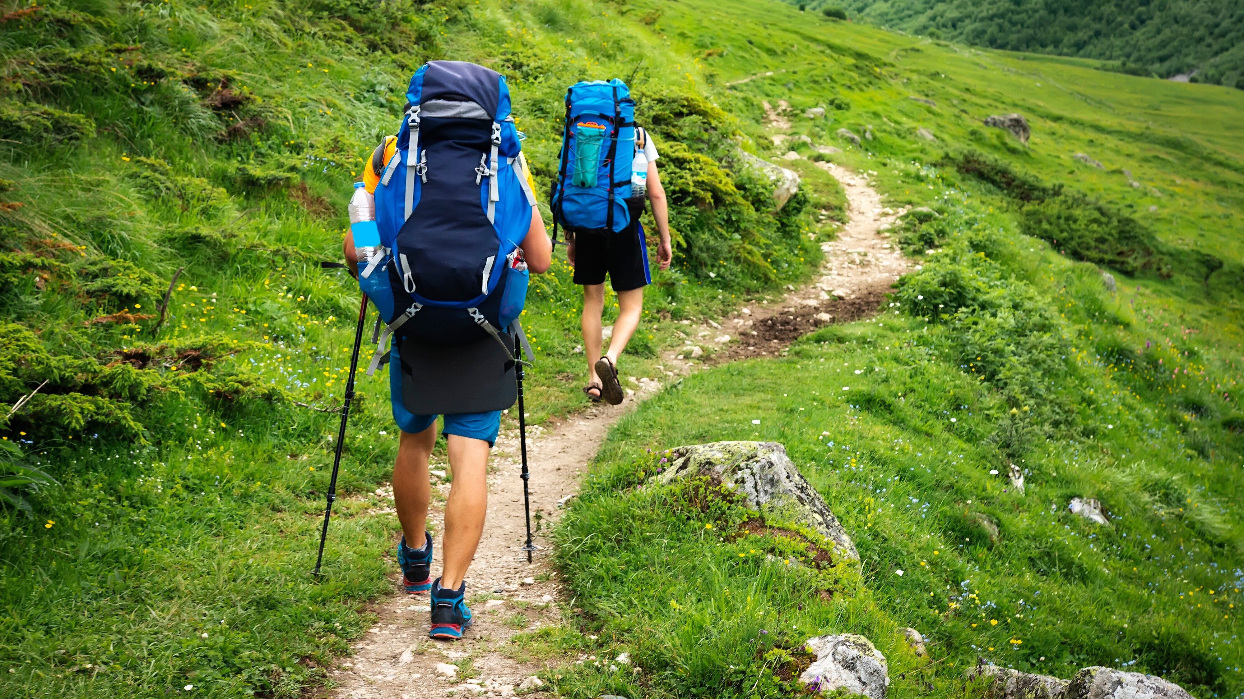 Trail: UTMB World Series