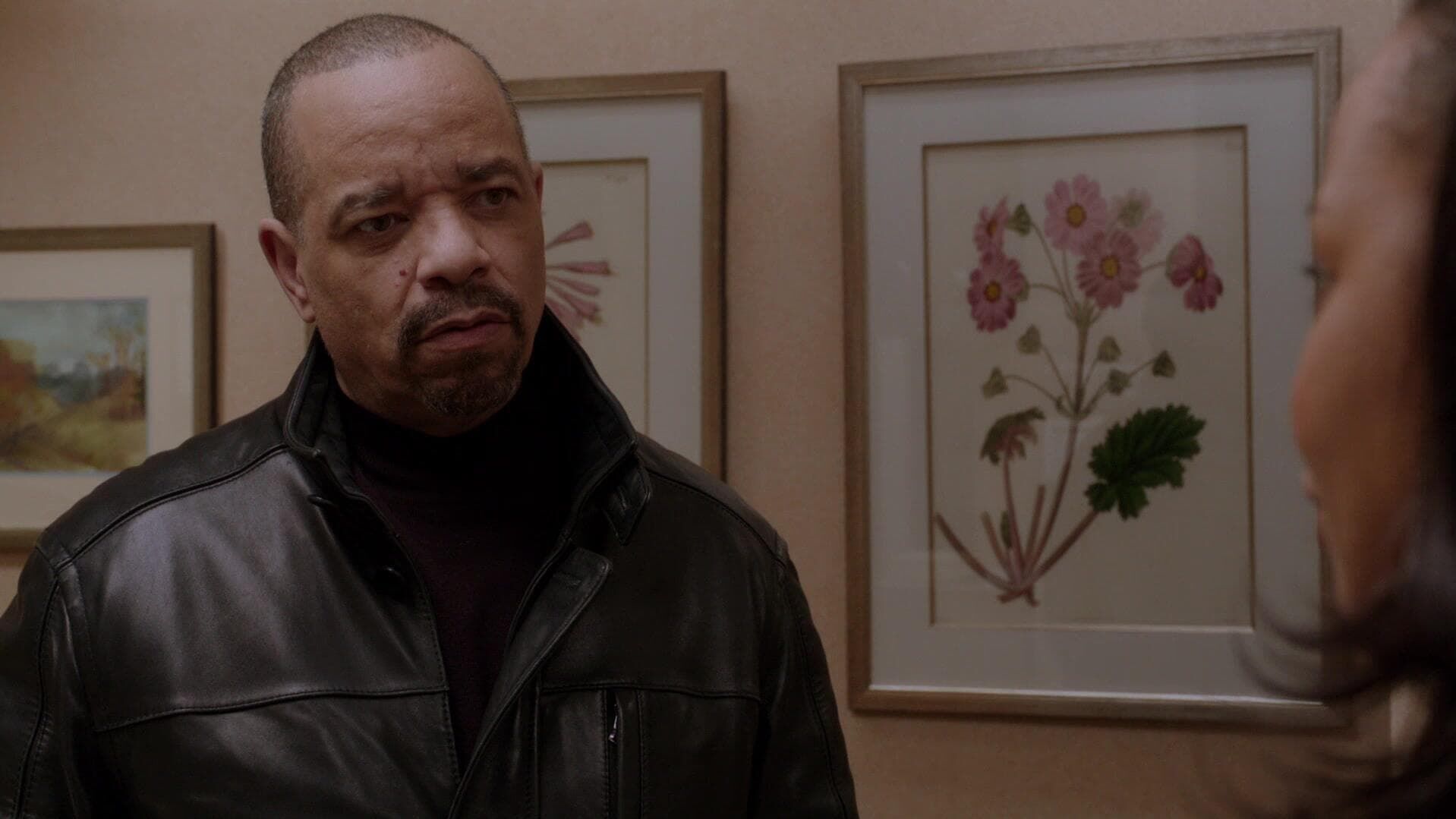 Law & Order: Special Victims Unit