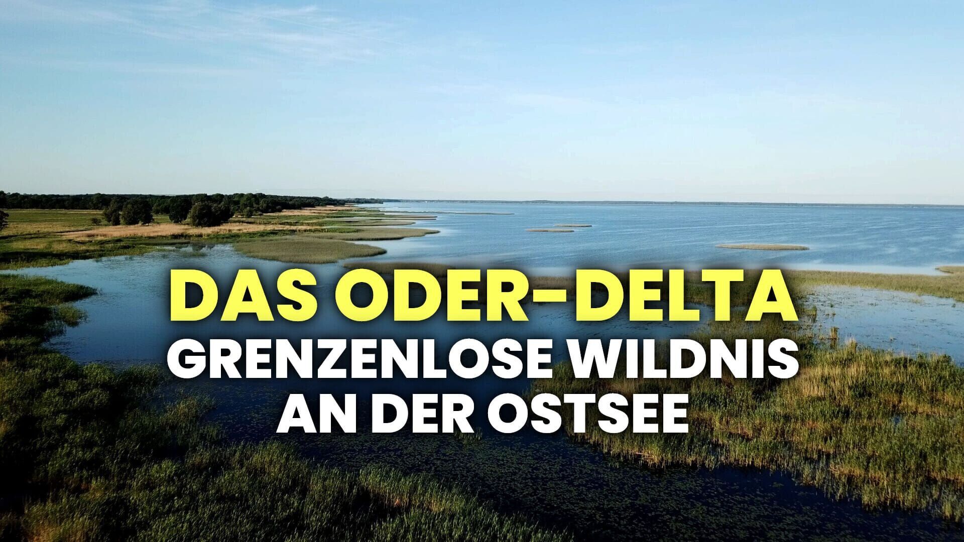 Das Oder-Delta – Grenzenlose Wildnis an der Ostsee