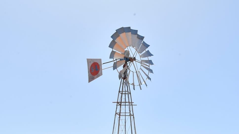 Das Traumschiff – Walvis Bay