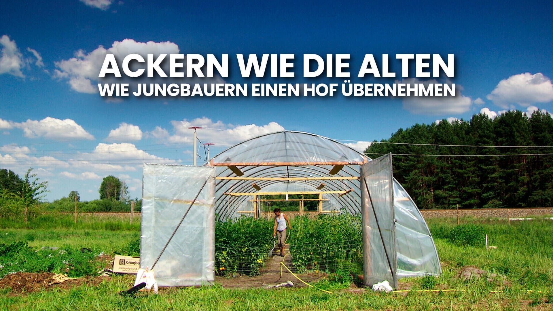 NaturNah: – Ackern wie die Alten