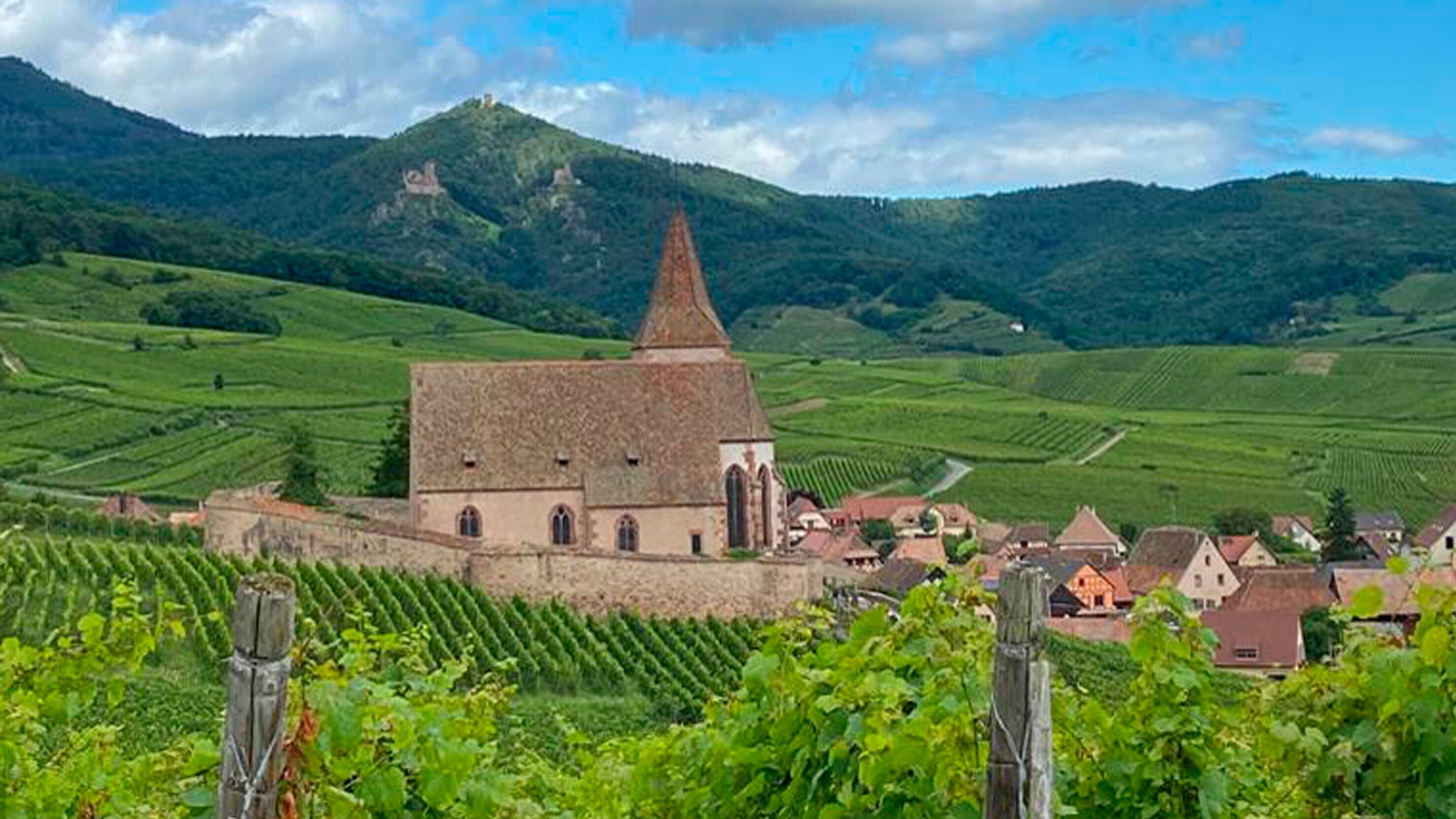 Wunderschön! Herbstzauber im Elsass – zwischen Colmar und Straßburg