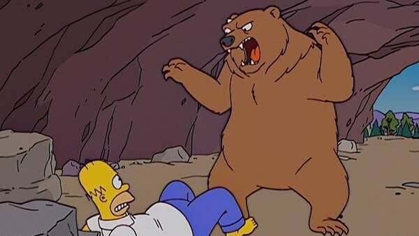 Die Simpsons
