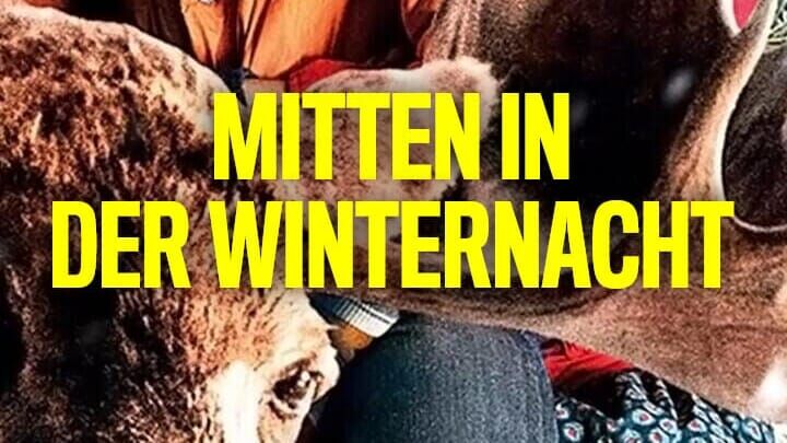 Mitten in der Winternacht