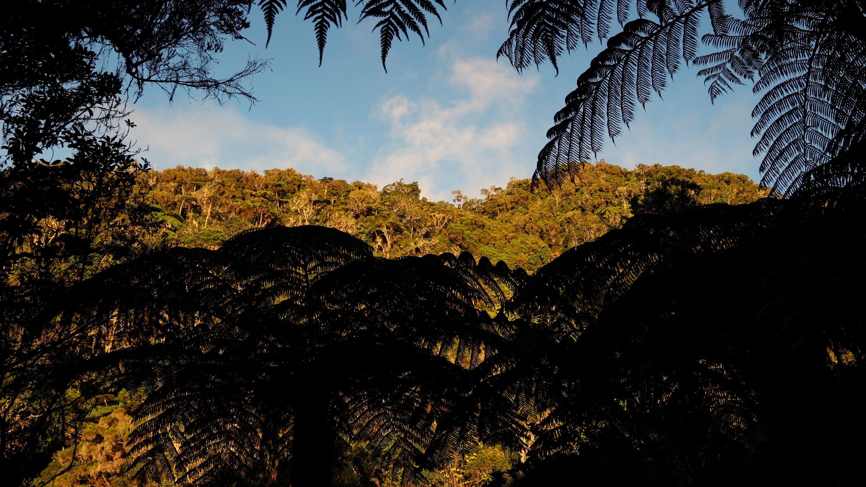 Die Insel La Réunion