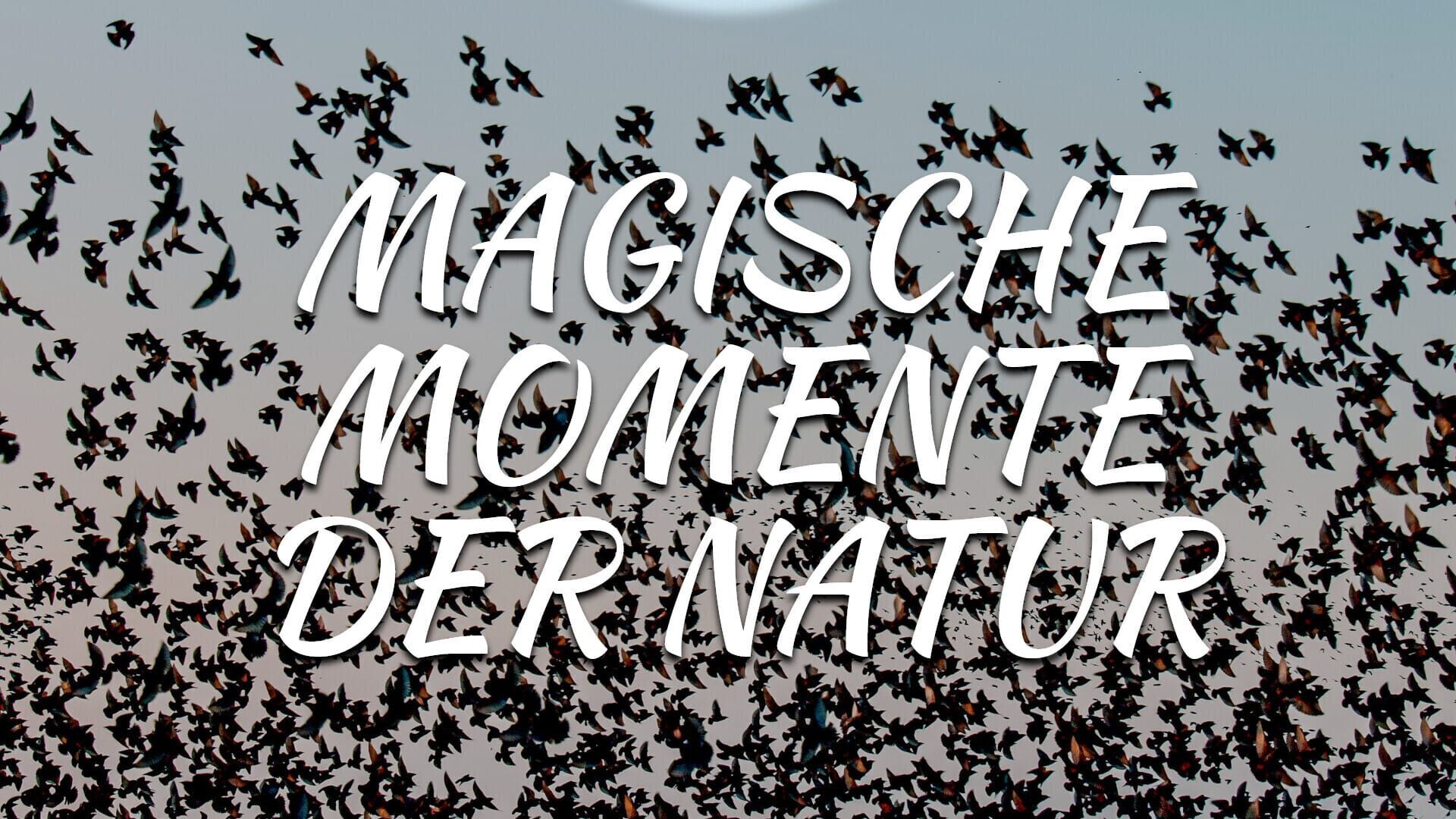 Magische Momente der Natur
