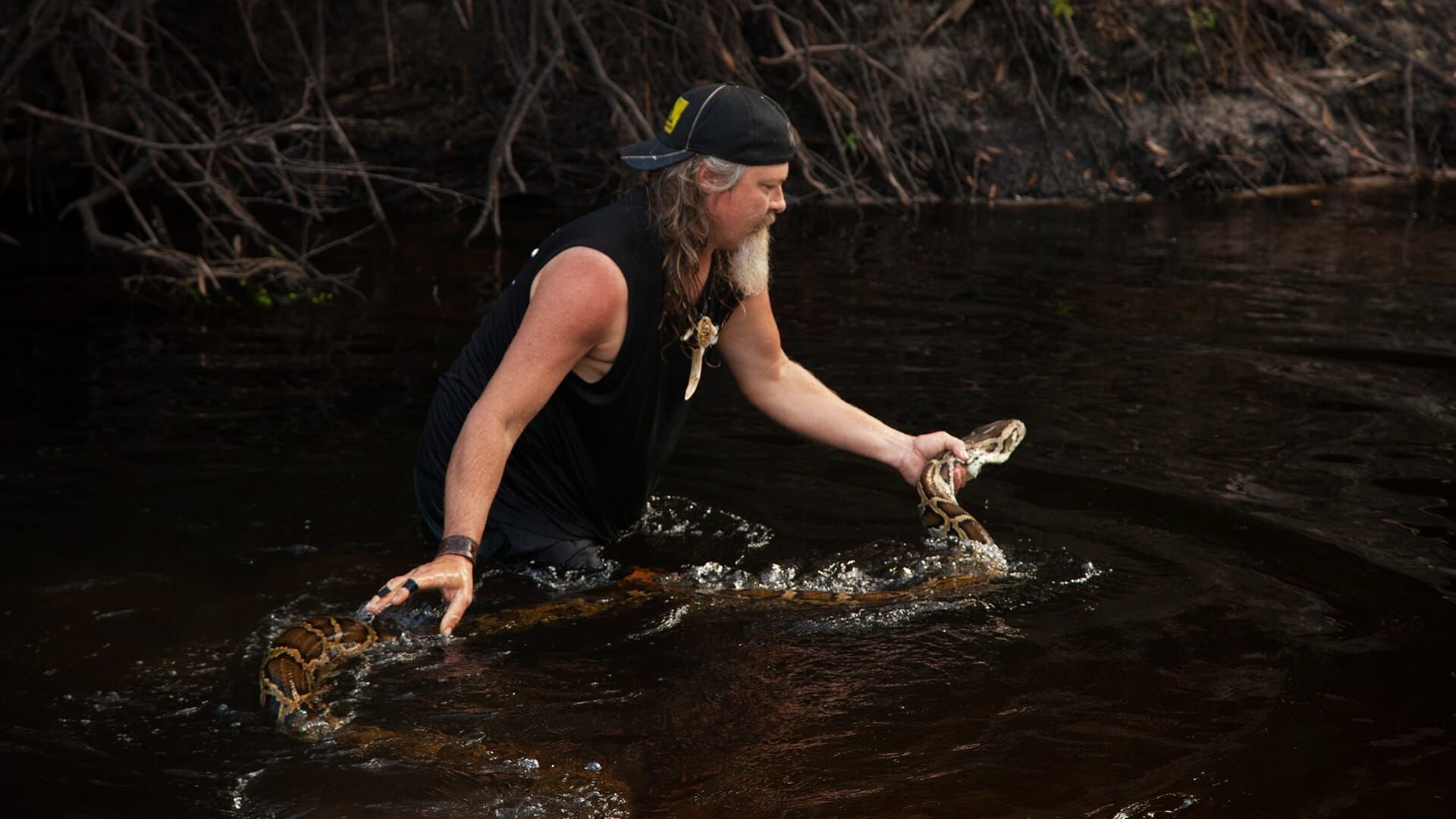 Die Pythonjäger – Einsatz in den Everglades