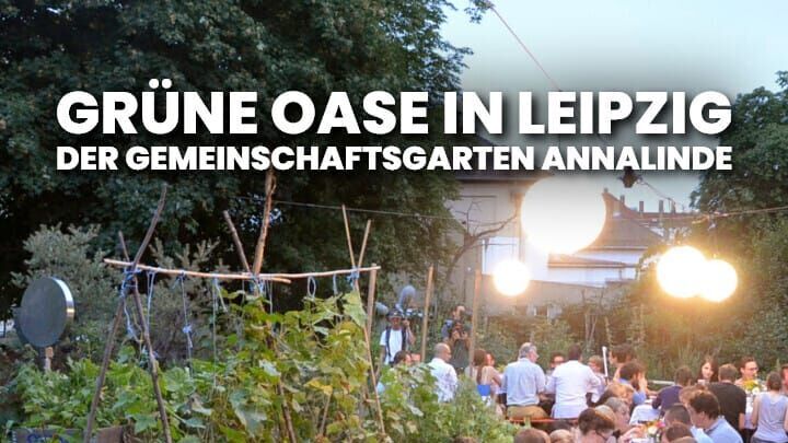 Grüne Oase in Leipzig – Der Gemeinschaftsgarten Annalinde