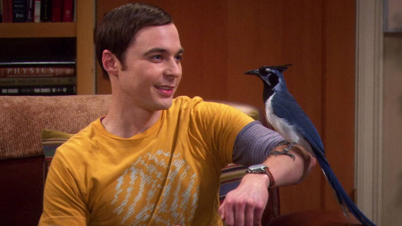 The Big Bang Theory