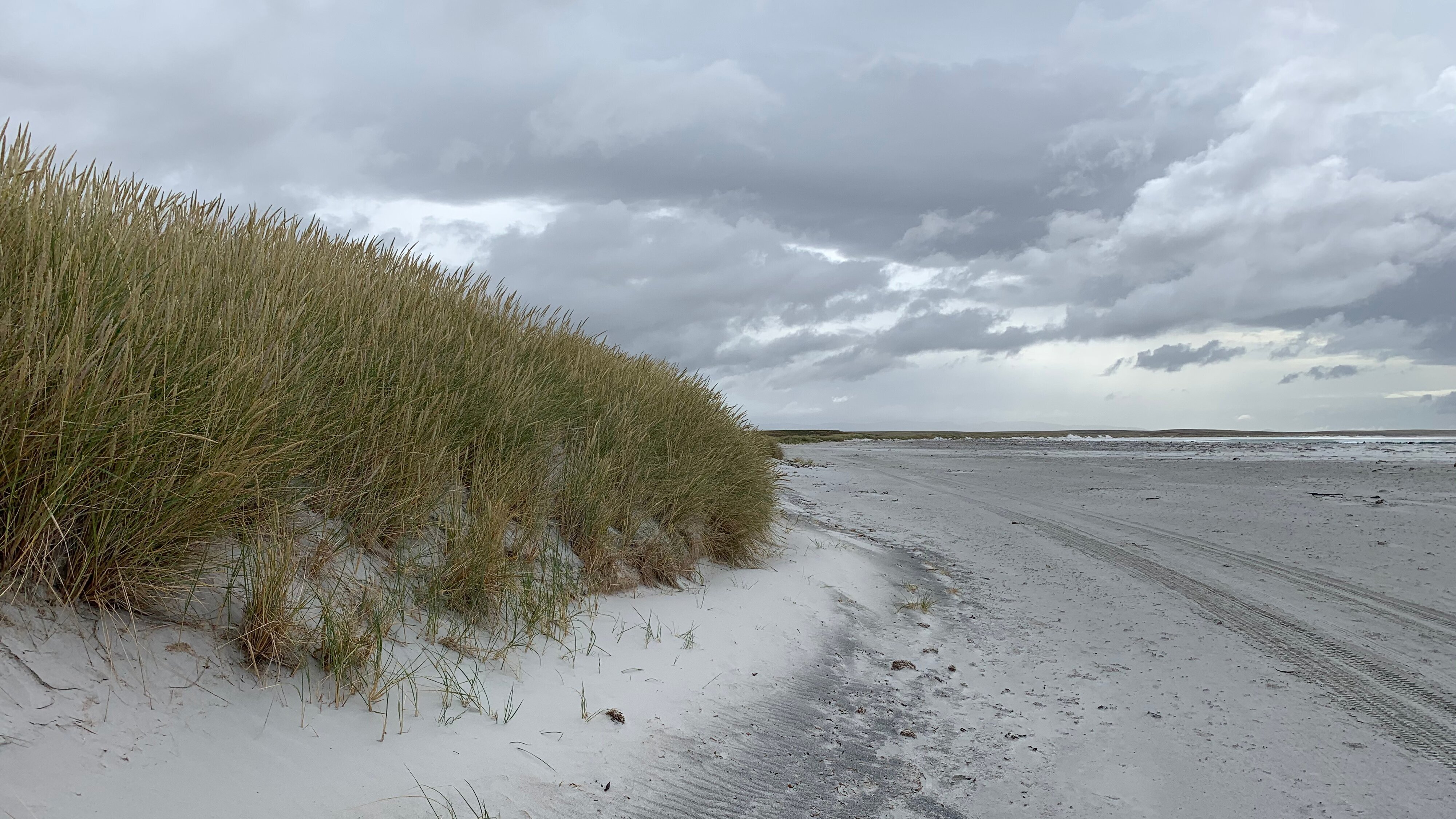 Verrückt nach Meer