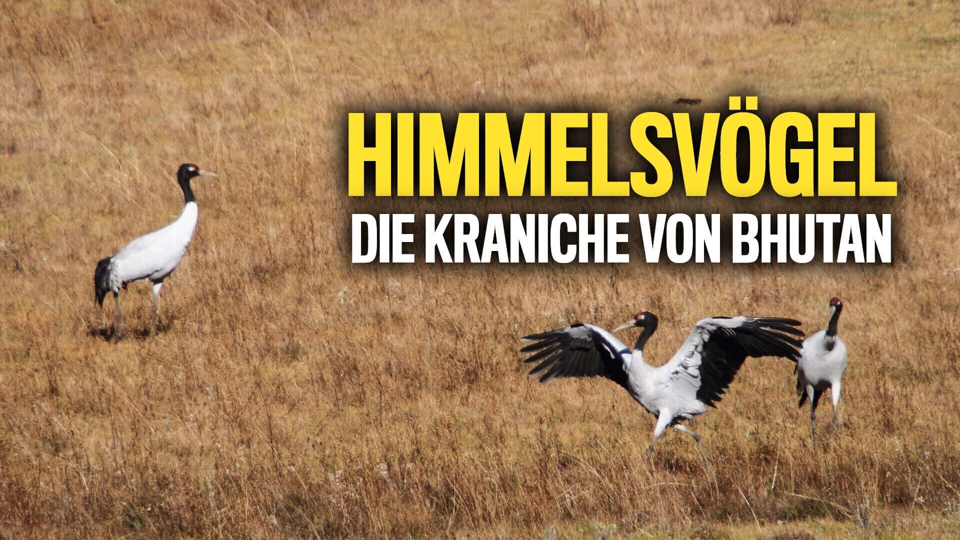 Himmelsvögel – Die Kraniche von Bhutan