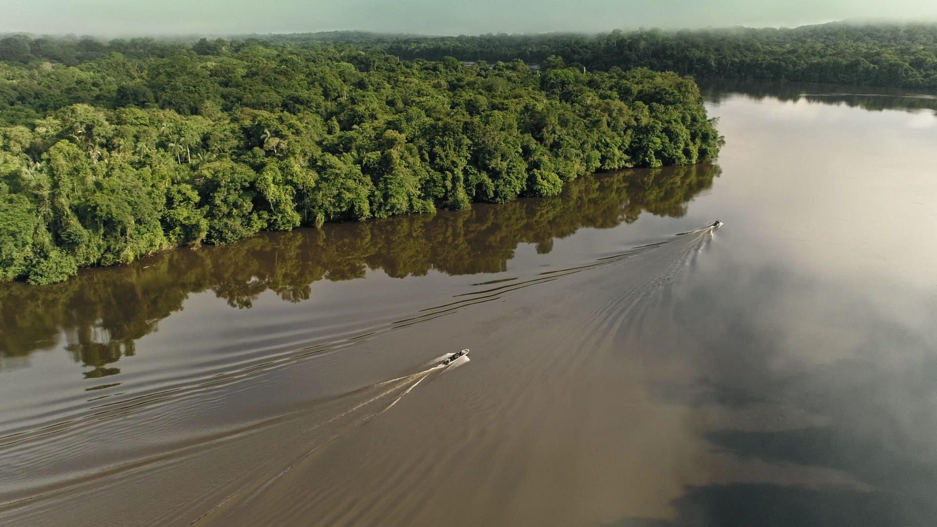 Giganten unter Wasser – Riesenfischen auf der Spur