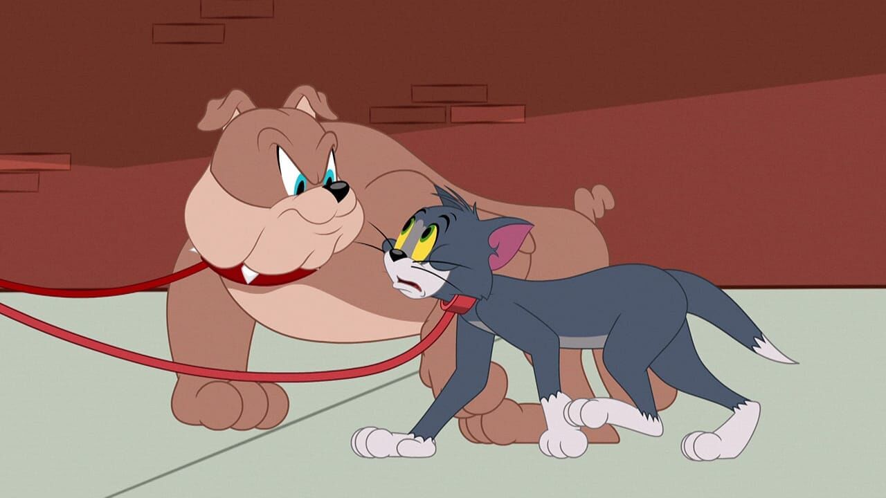 Die Tom und Jerry Show