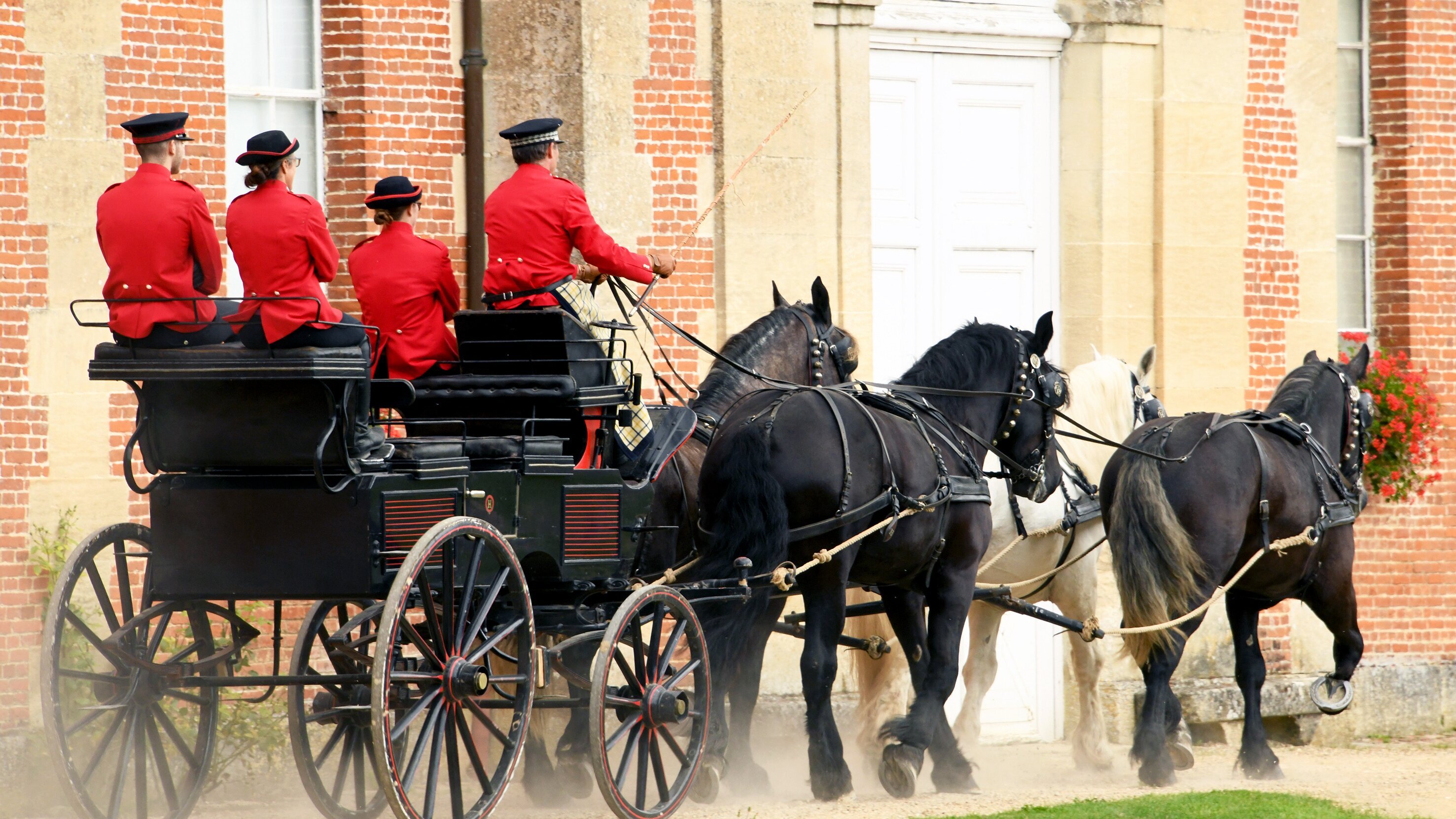 Percheron, das Kraftpaket mit einer Pferdestärke