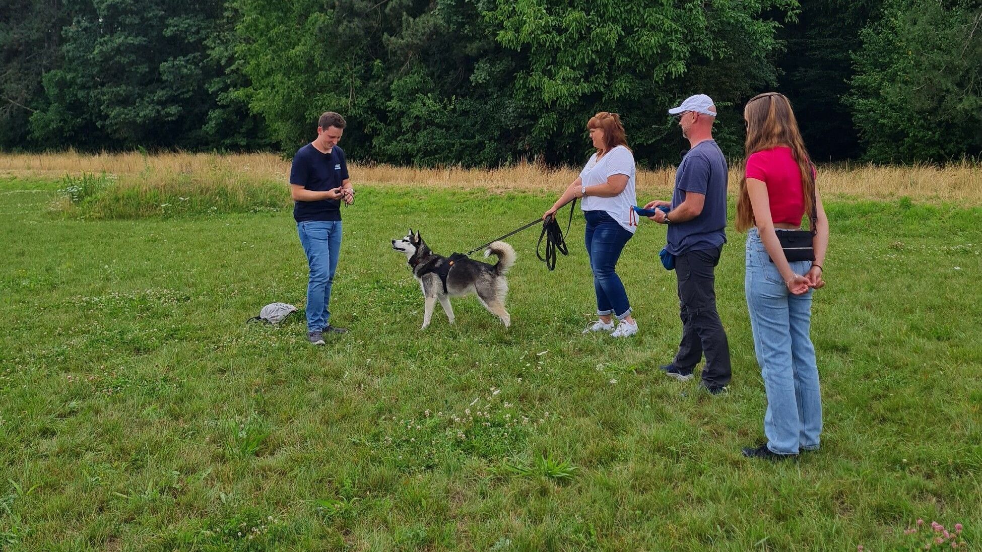 Der Hundeprofi – Rütters Team