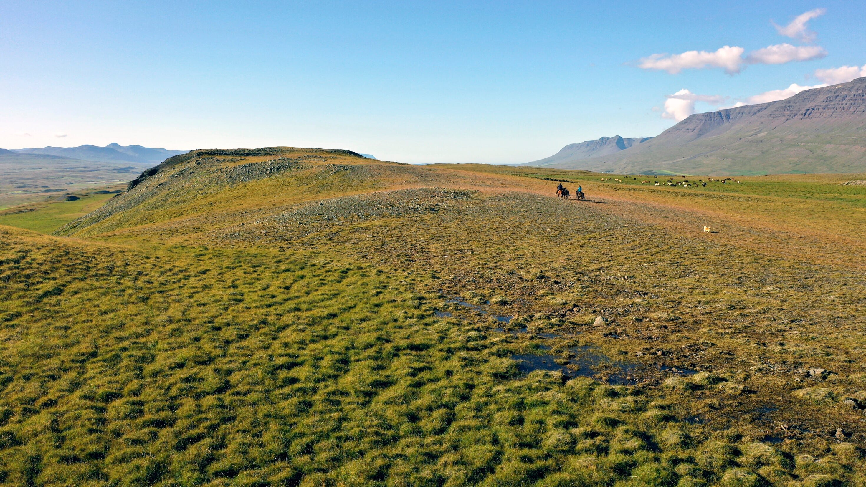 Island erleben