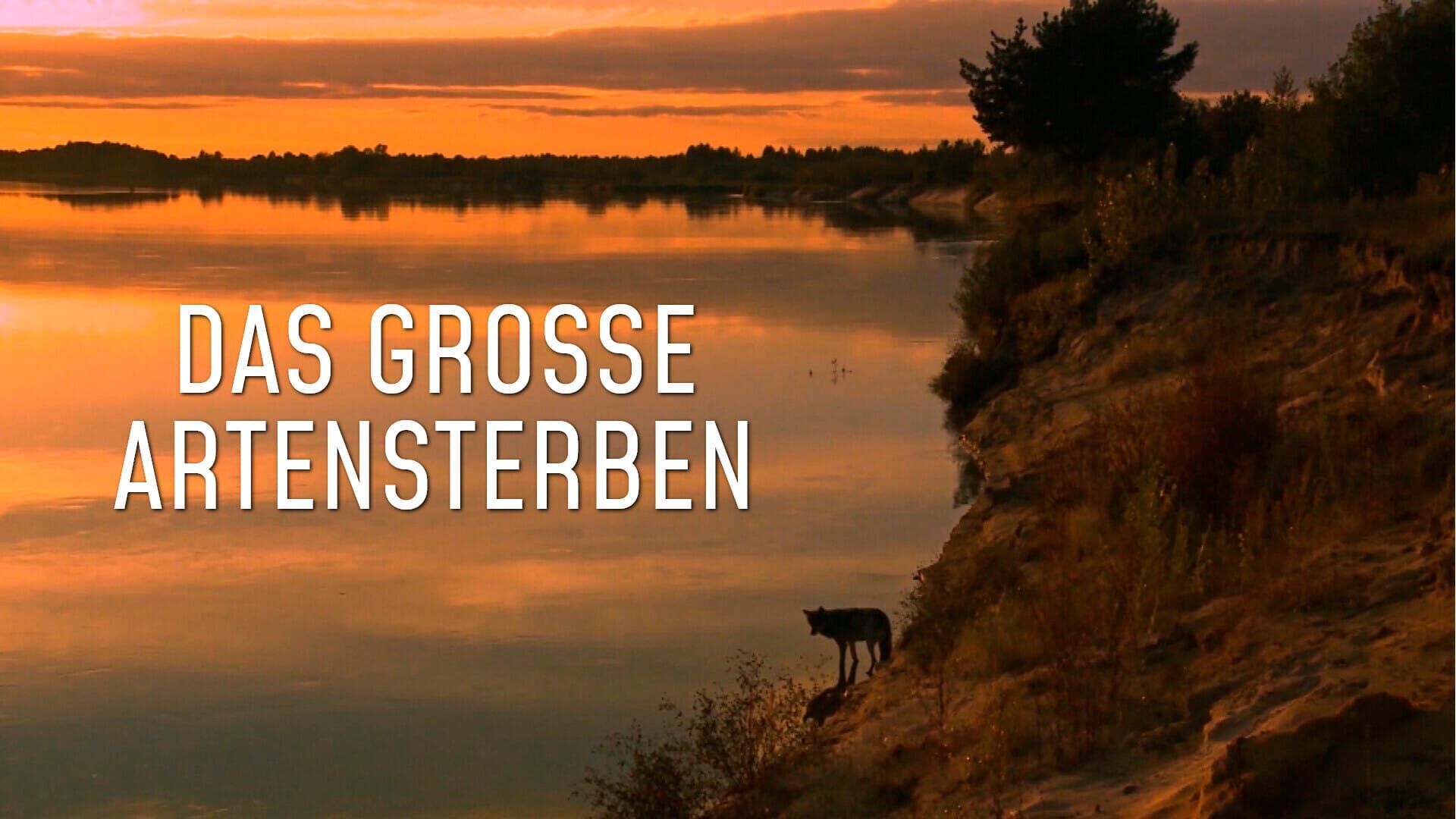 Das große Artensterben