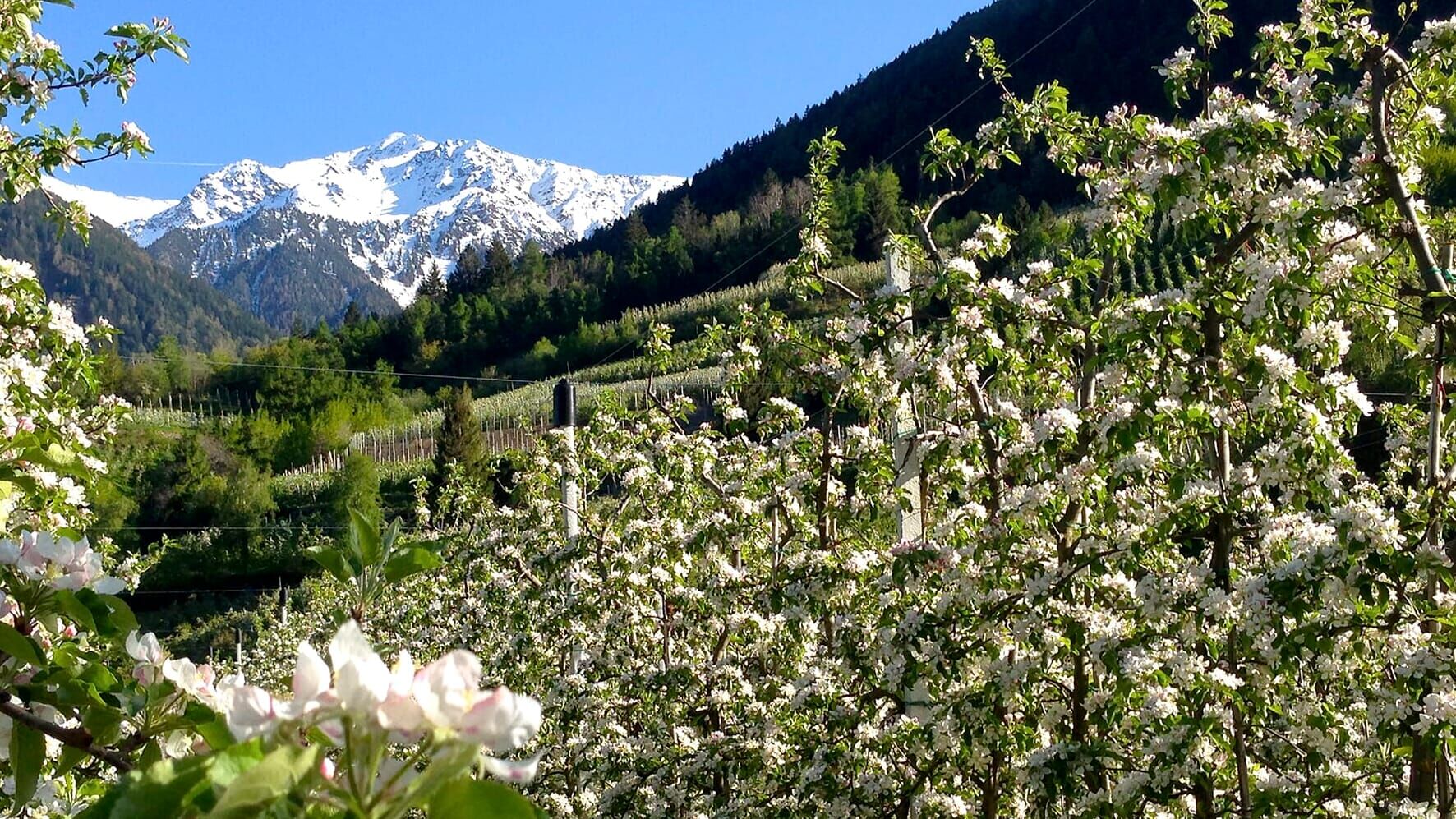 Südtirol