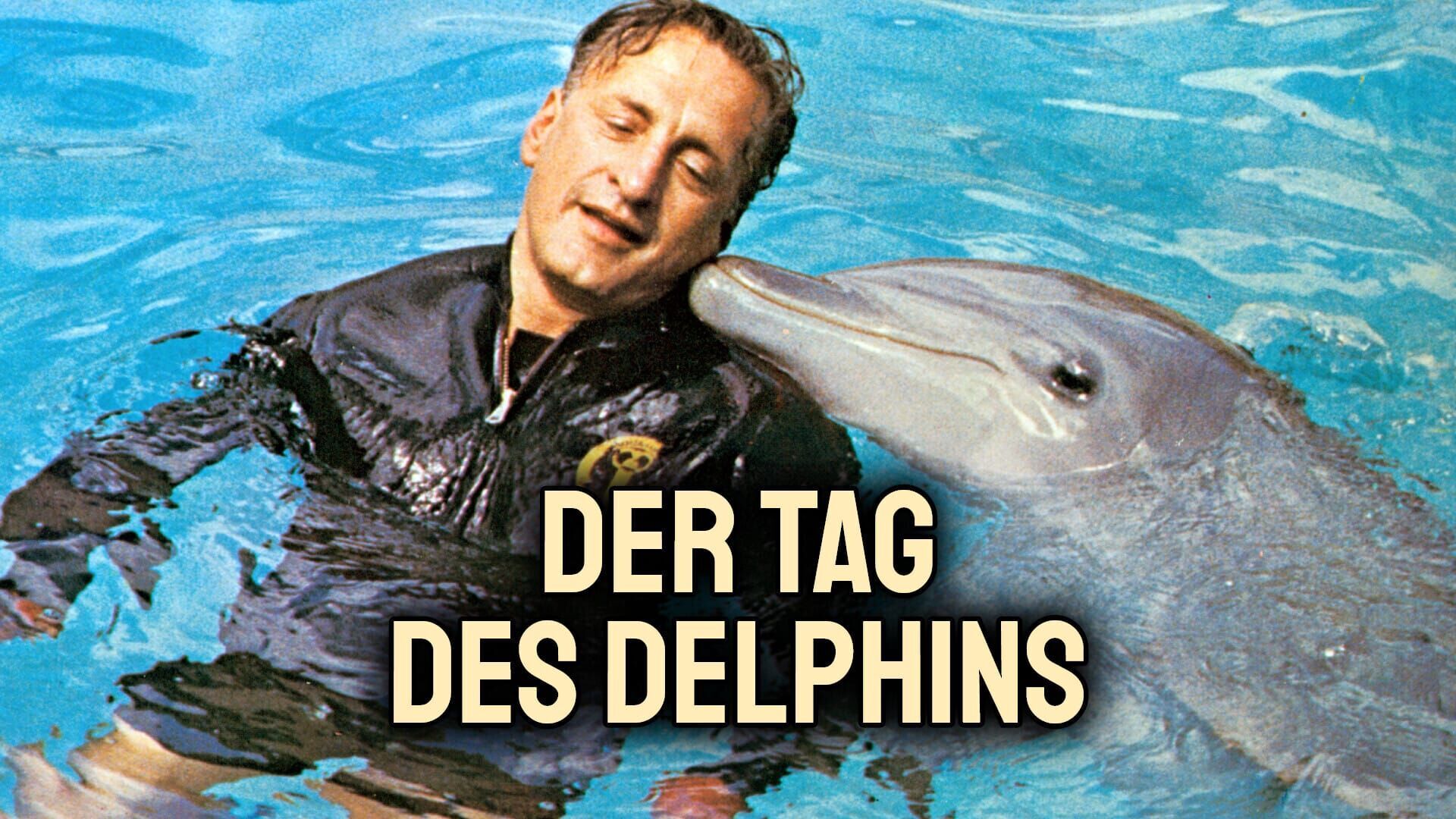 Der Tag des Delphins