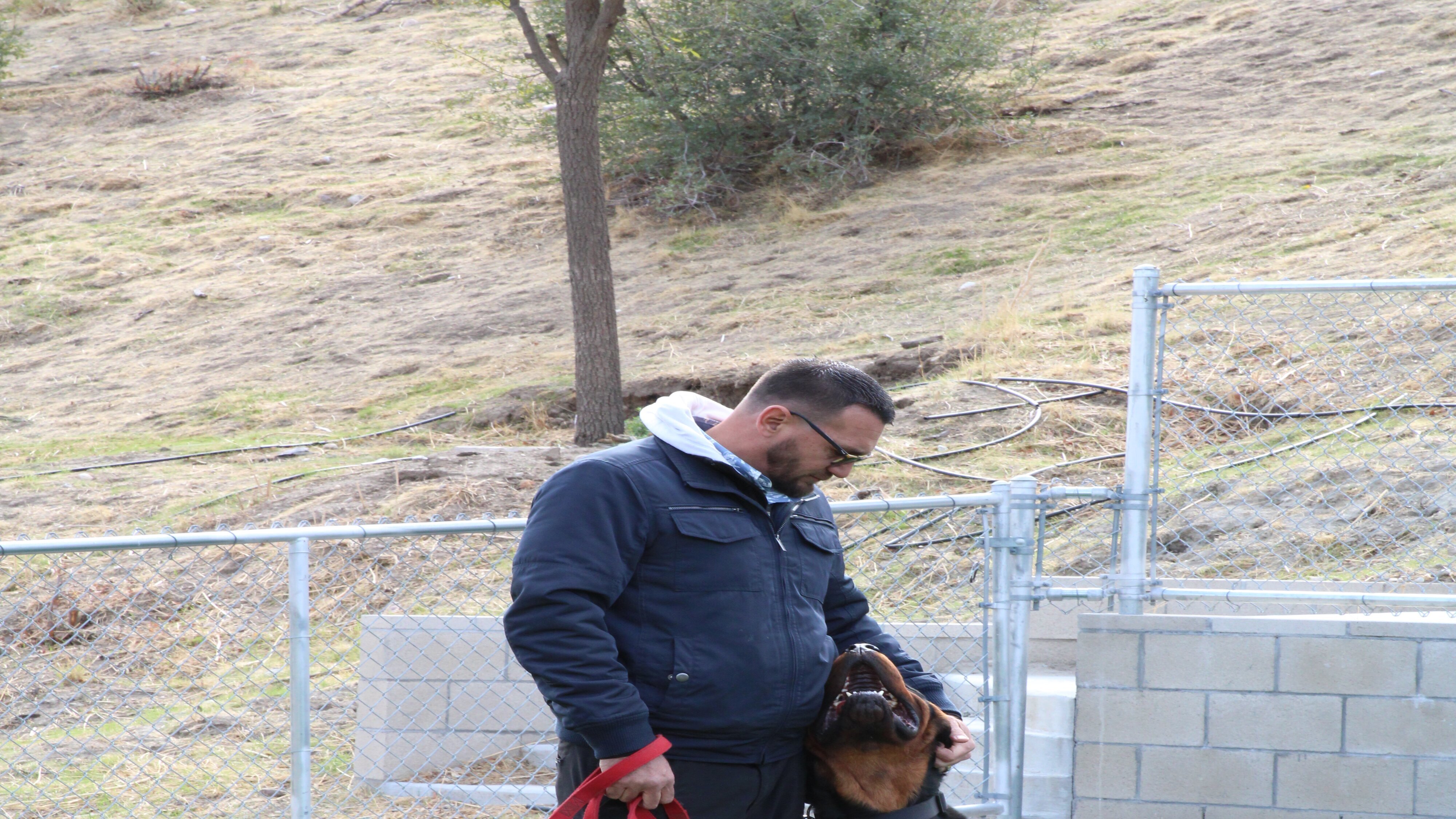Cesar Millan: Better Human Better Dog – Bessere Menschen, bessere Hunde