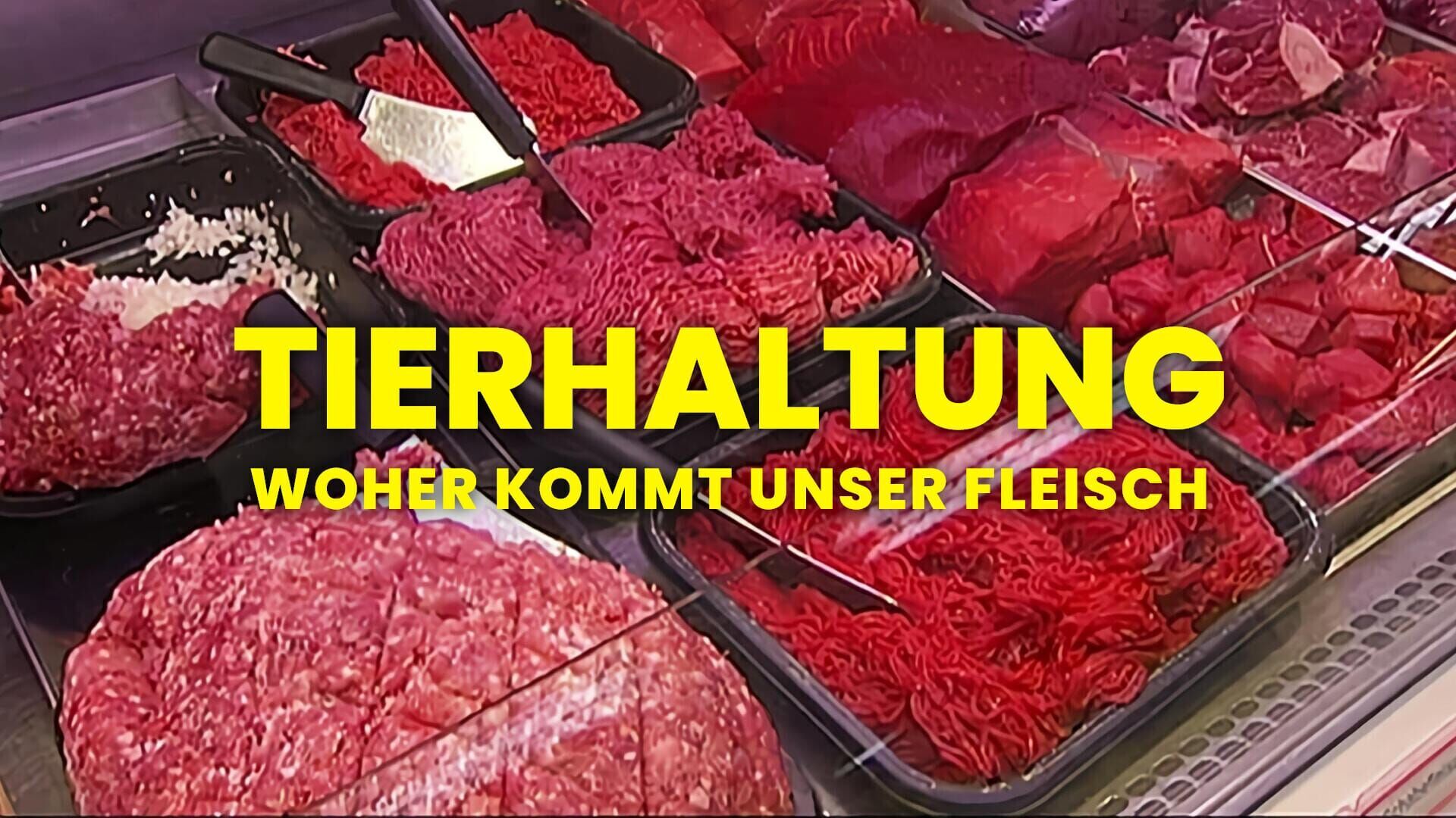Tierhaltung