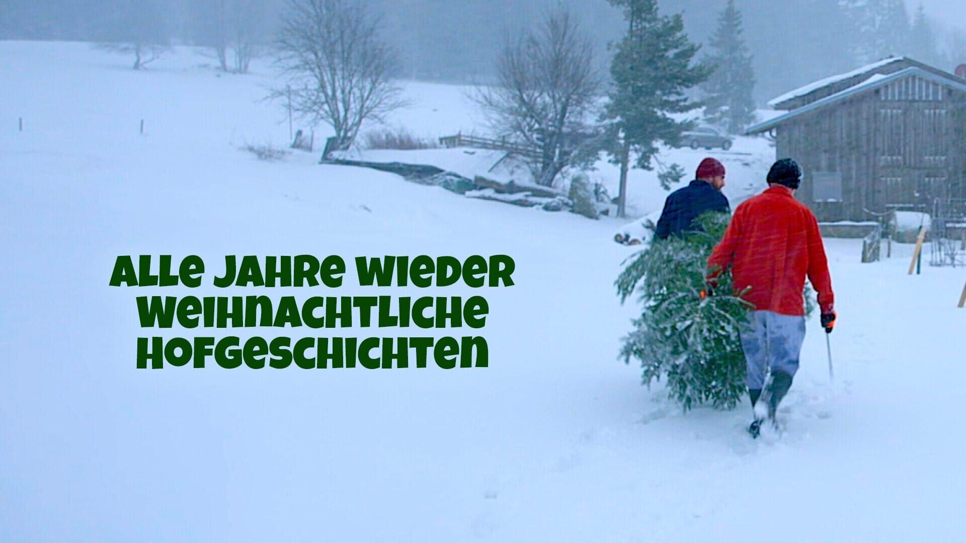 Alle Jahre wieder: Weihnachtliche Hofgeschichten