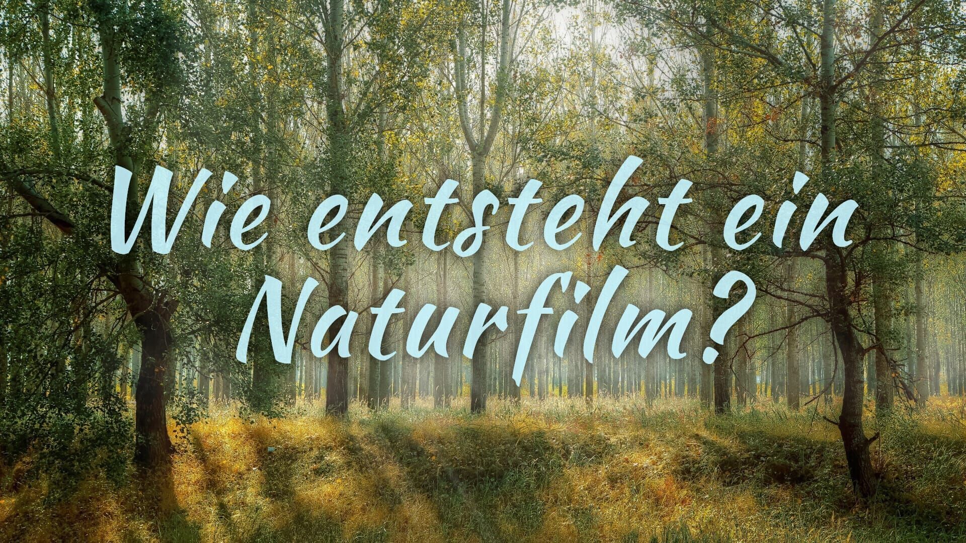 Wie entsteht ein Naturfilm?