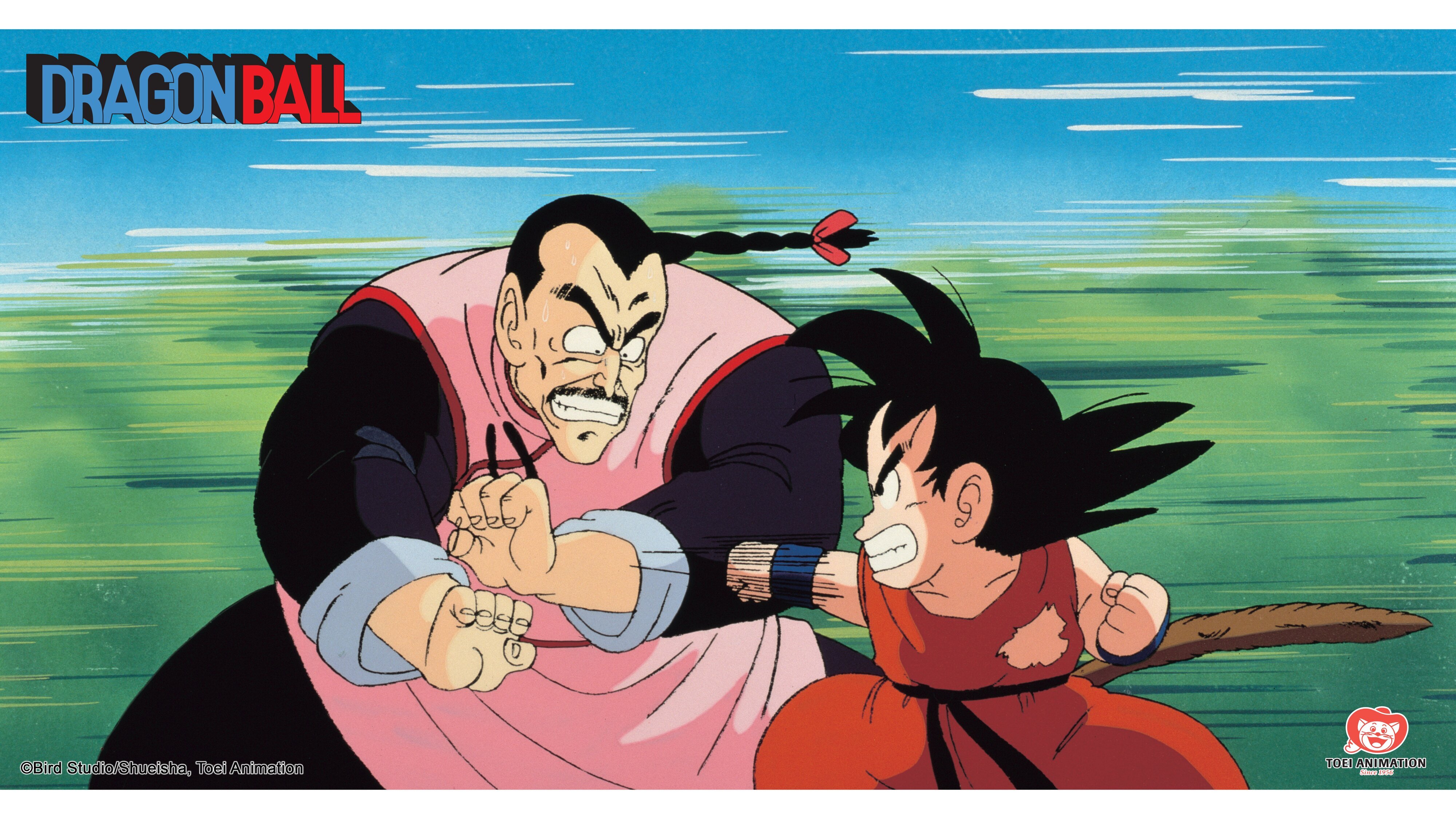 Dragon Ball: Son-Gokus erstes Turnier