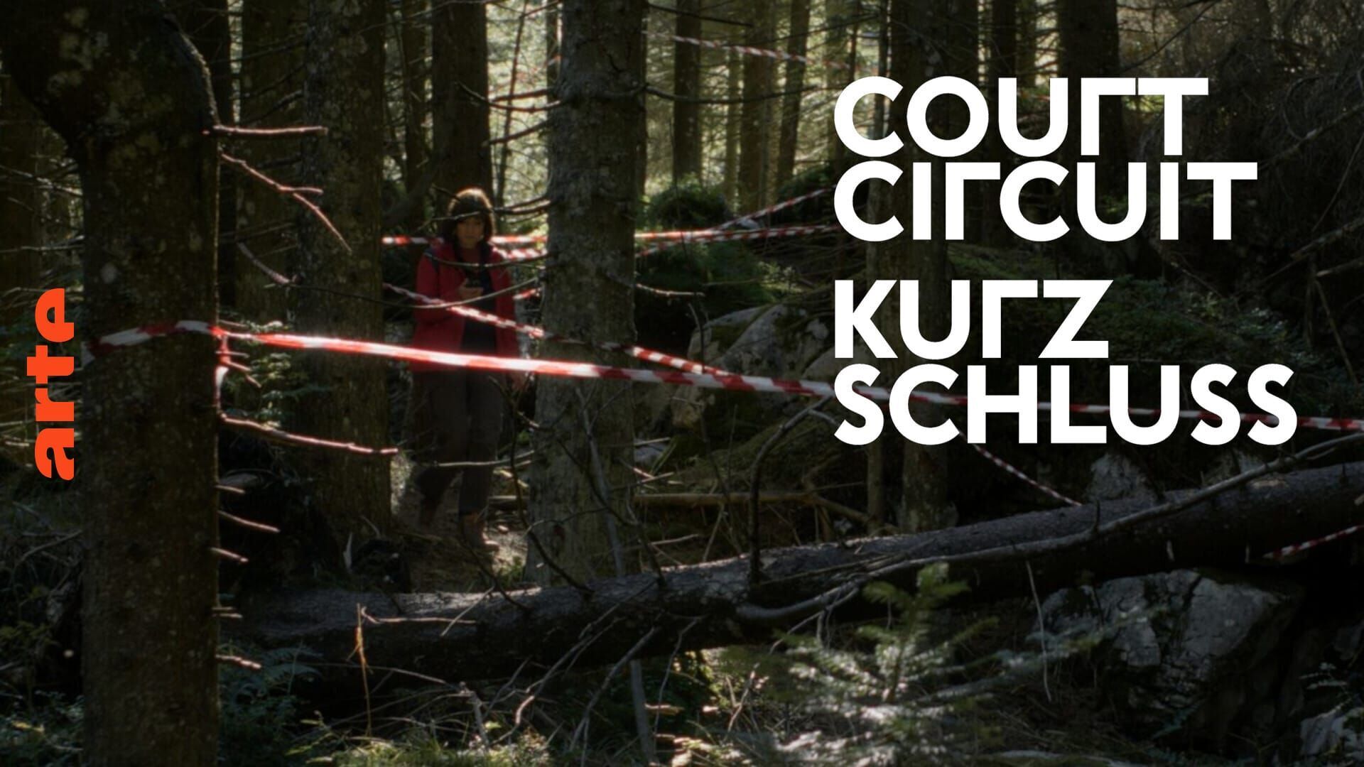 Kurzschluss