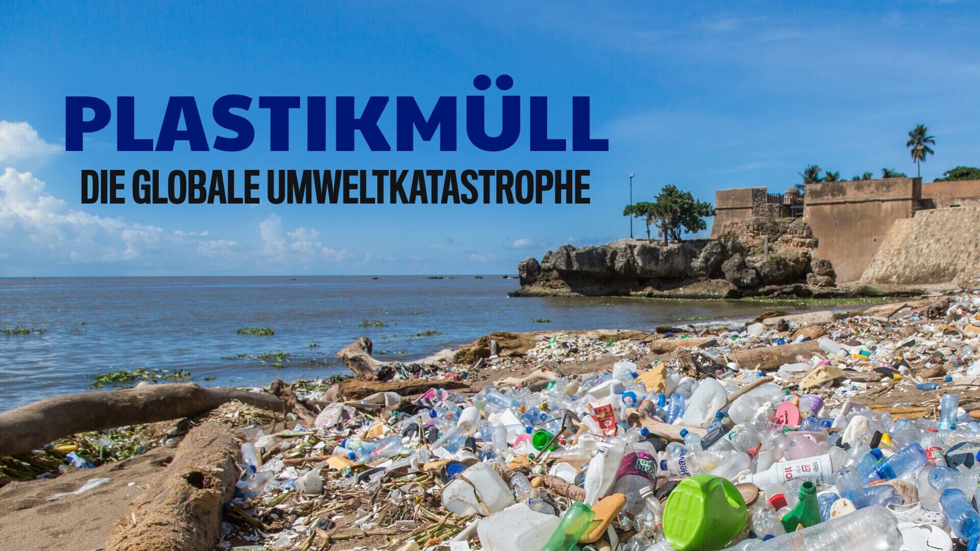 Plastikmüll – die globale Umweltkatastrophe