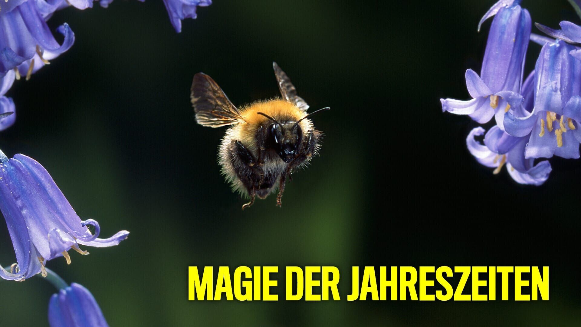 Magie der Jahreszeiten