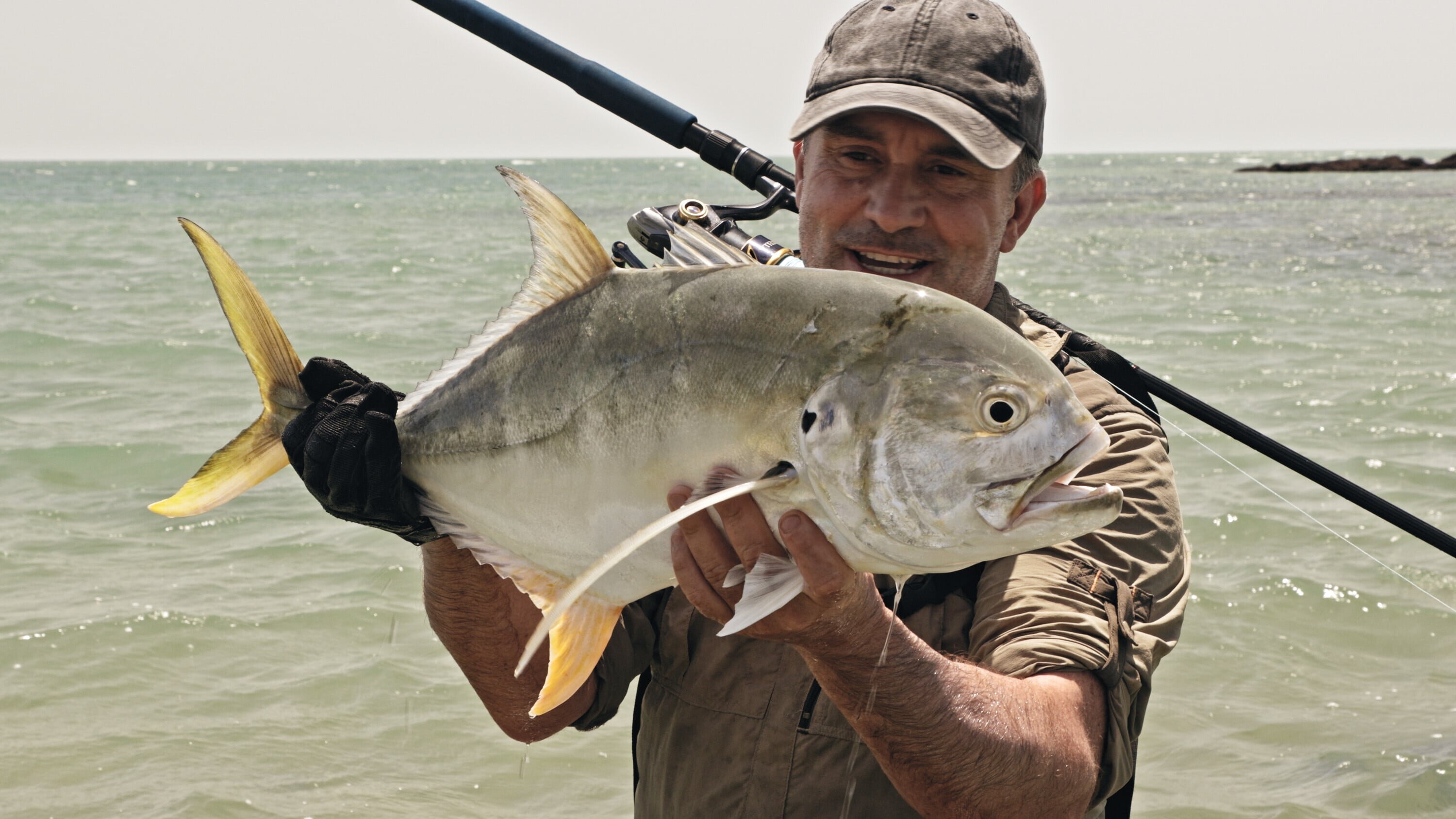 Giganten unter Wasser – Riesenfischen auf der Spur