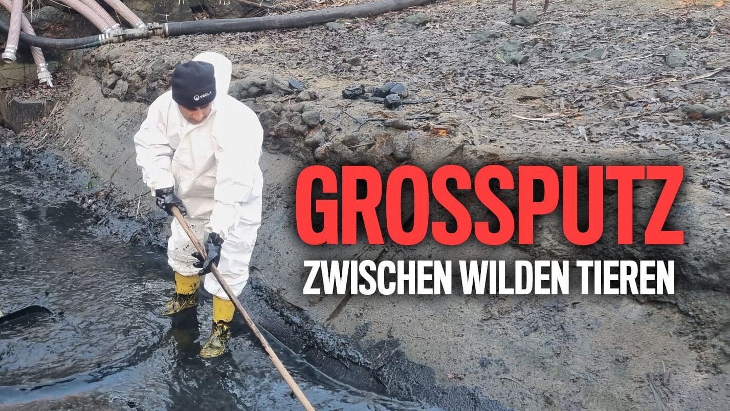 Großputz zwischen wilden Tieren