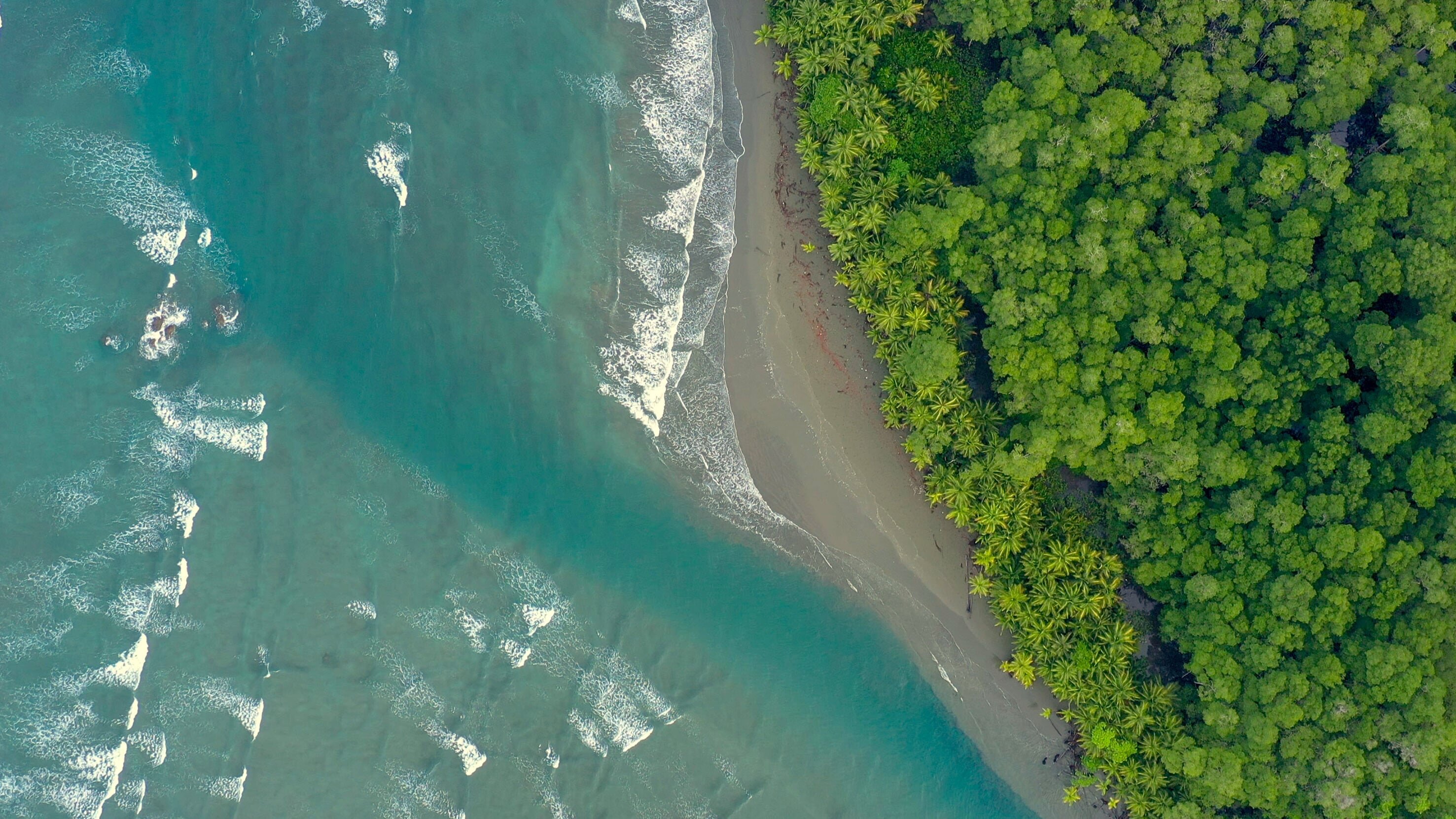 Costa Rica – Der Natur zur Seite stehen