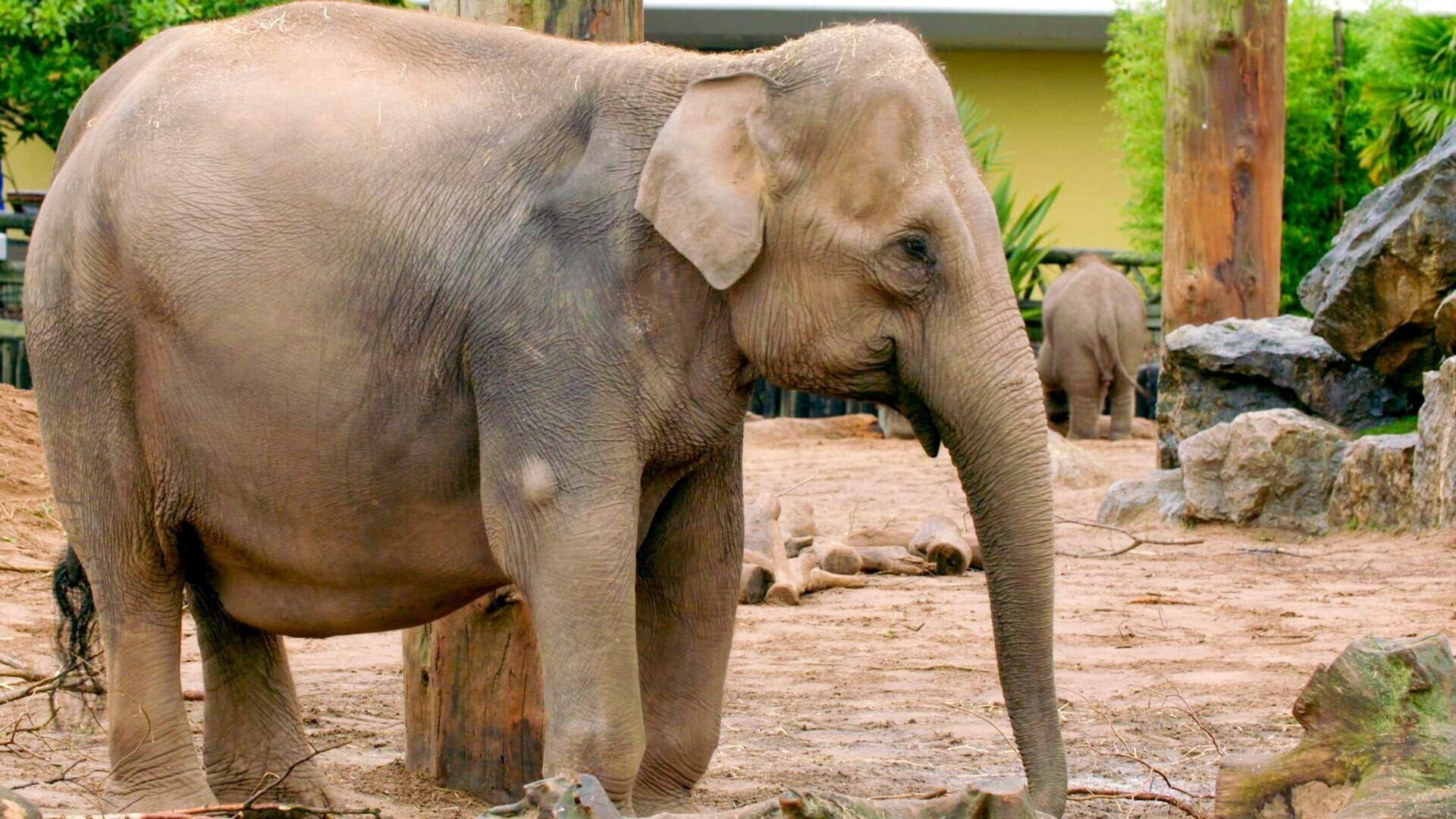 Zoo und so – Tierisch wild!