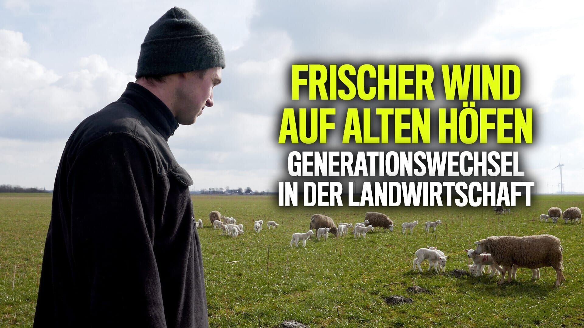 Frischer Wind auf alten Höfen