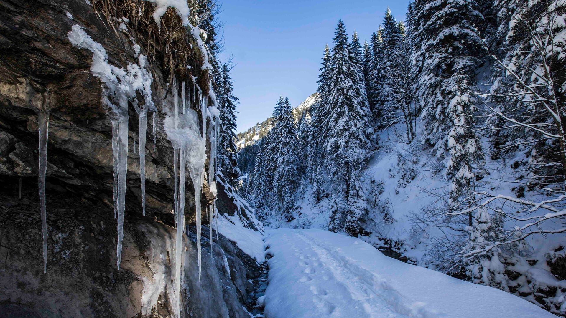 Kleinwalsertal